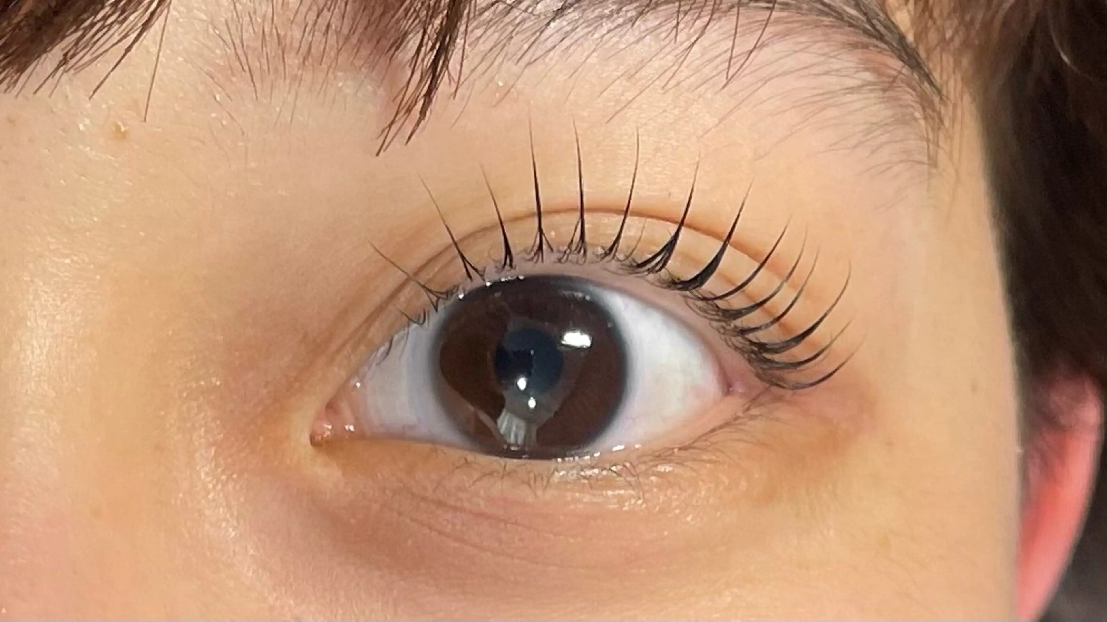 マツエク・マツパ LaSHE's YUKARIのマツエク・マツパデザイン