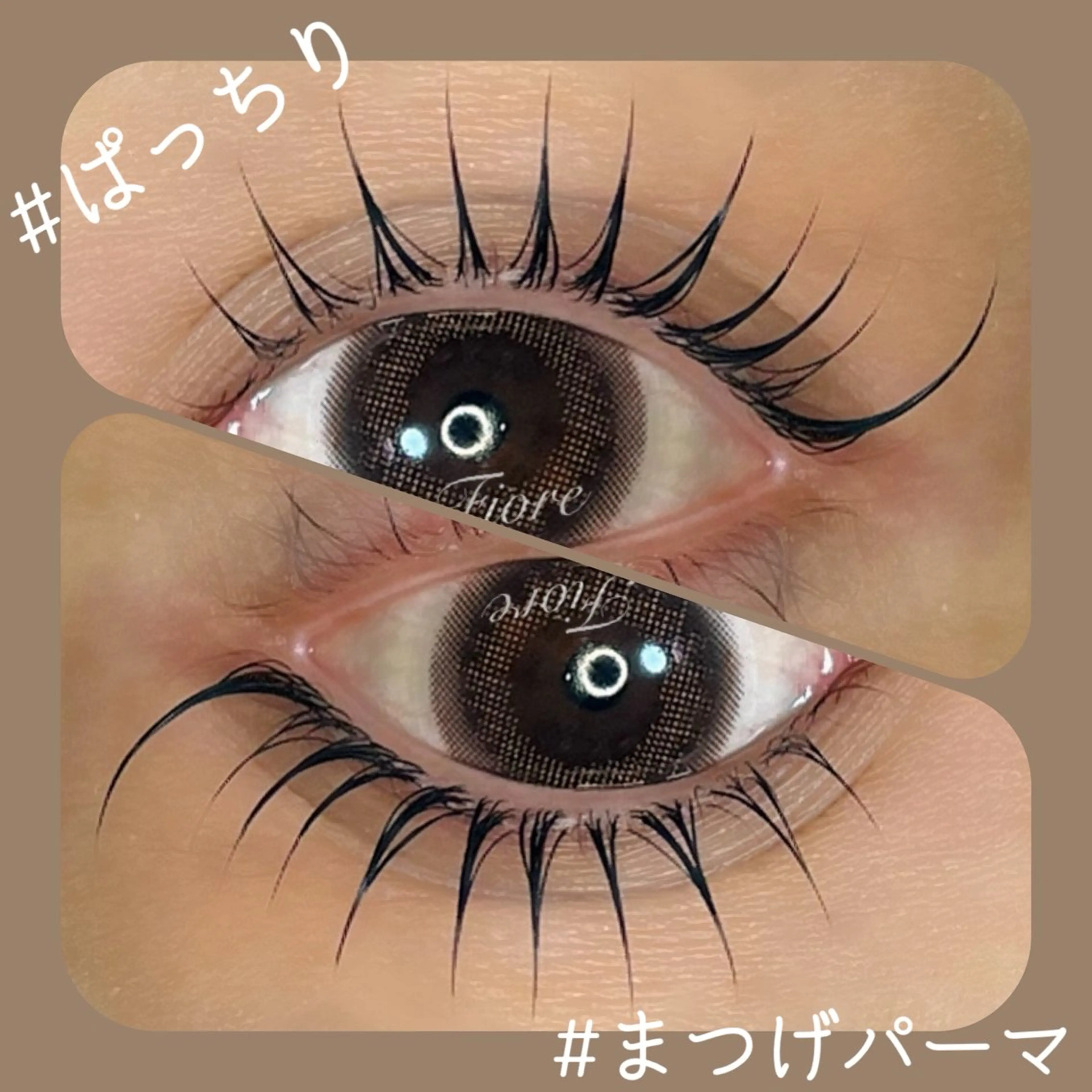 マツエク・マツパ マツパ eyelashsalon  フィオーレ所属・eyelash salonフィオーレのマツエク・マツパデザイン
