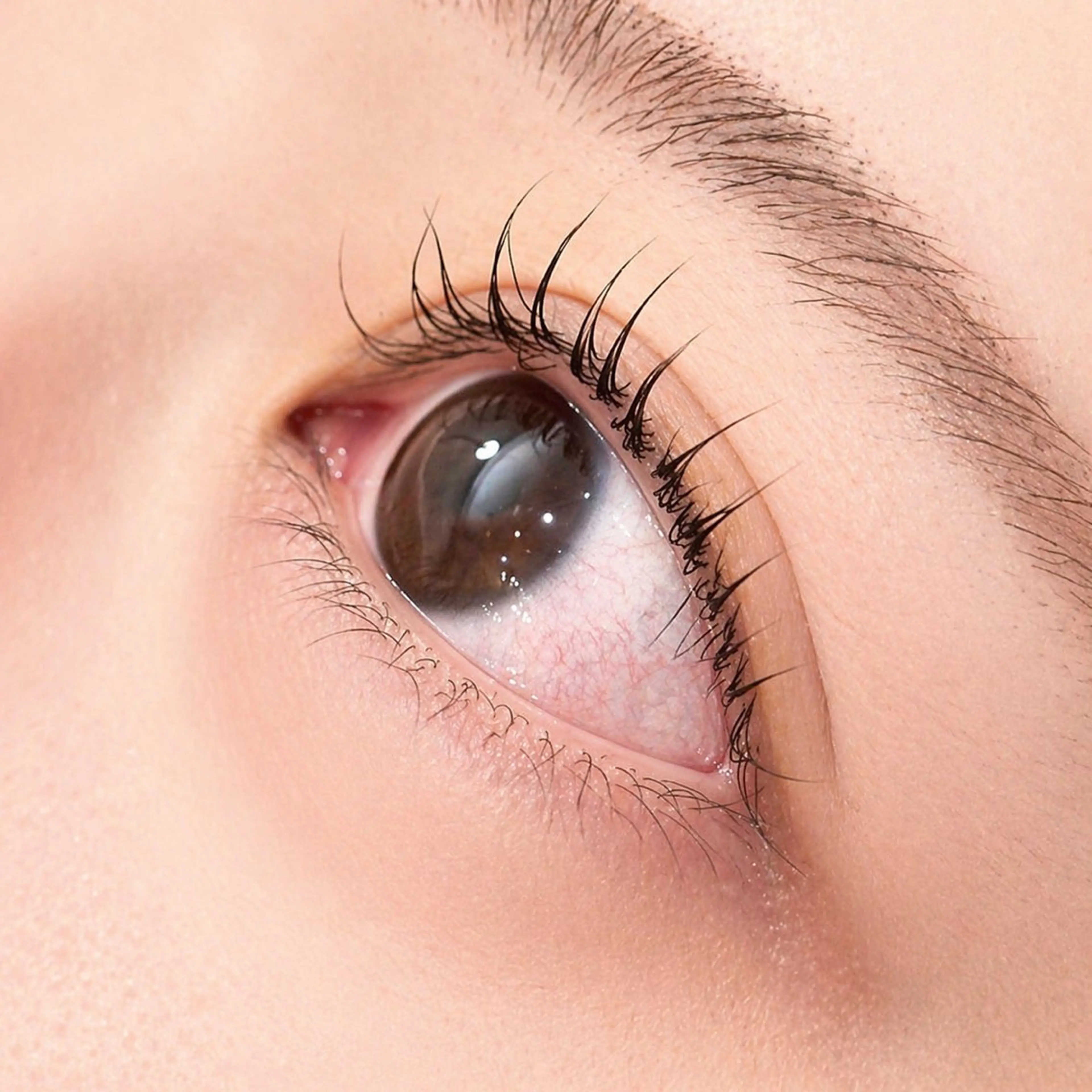 マツエク・マツパ マツパ 山下 ちひろのヘアスタイル