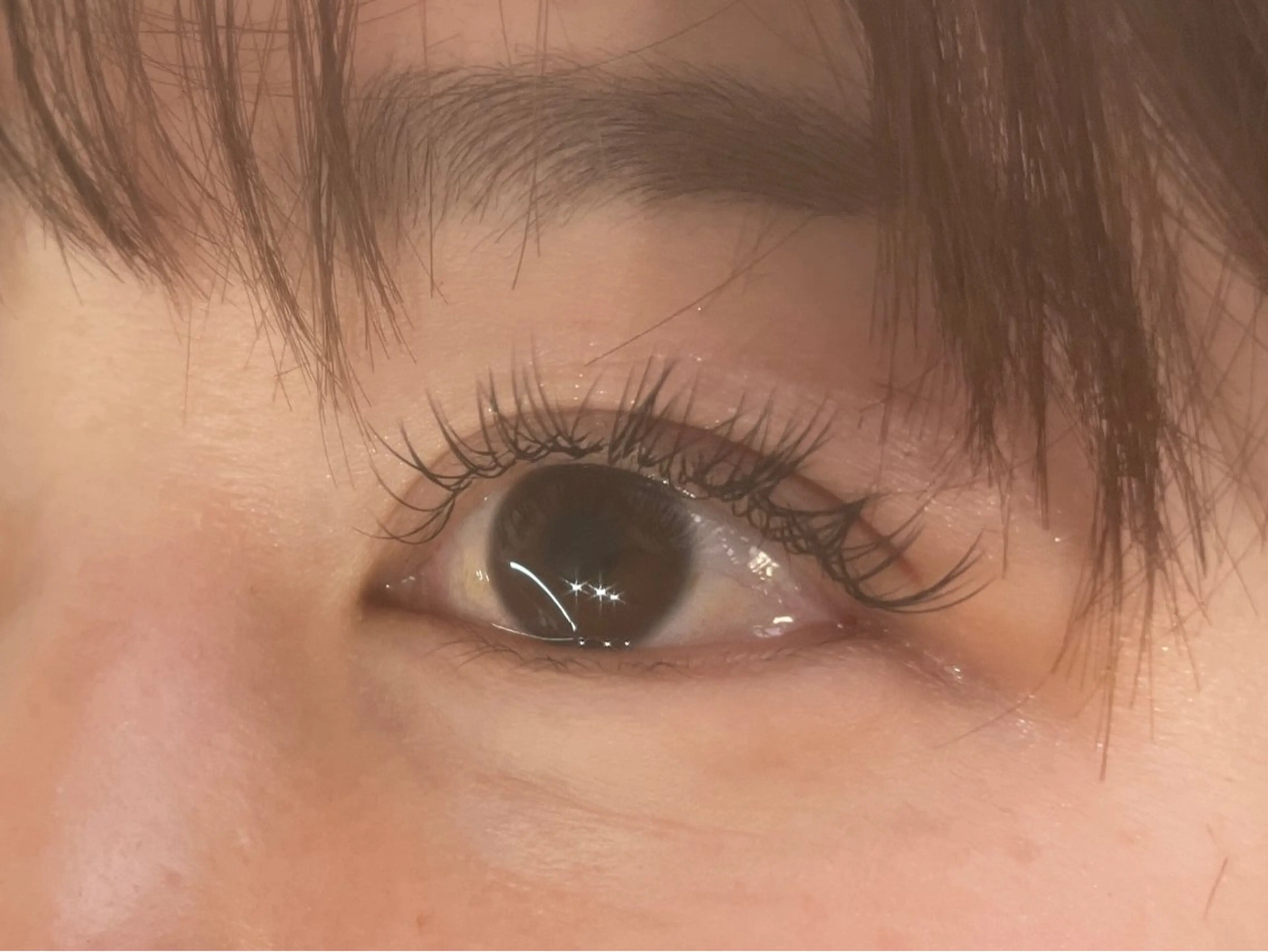 LEDマツエク　フラットラッシュ100本の写真