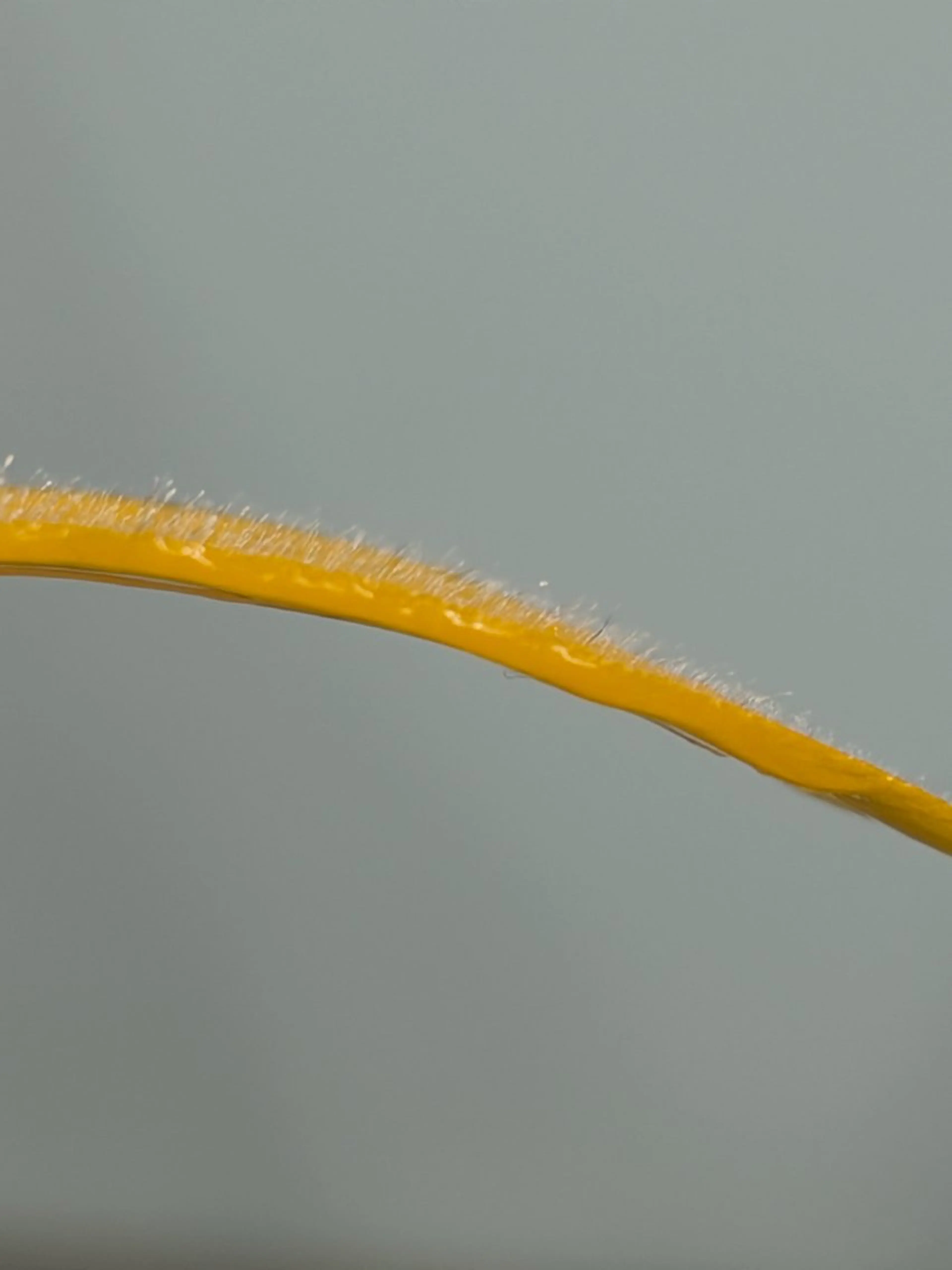 エステ TotalSalon Briller所属・Nakashita Sayakaのエステ・リラクイメージ