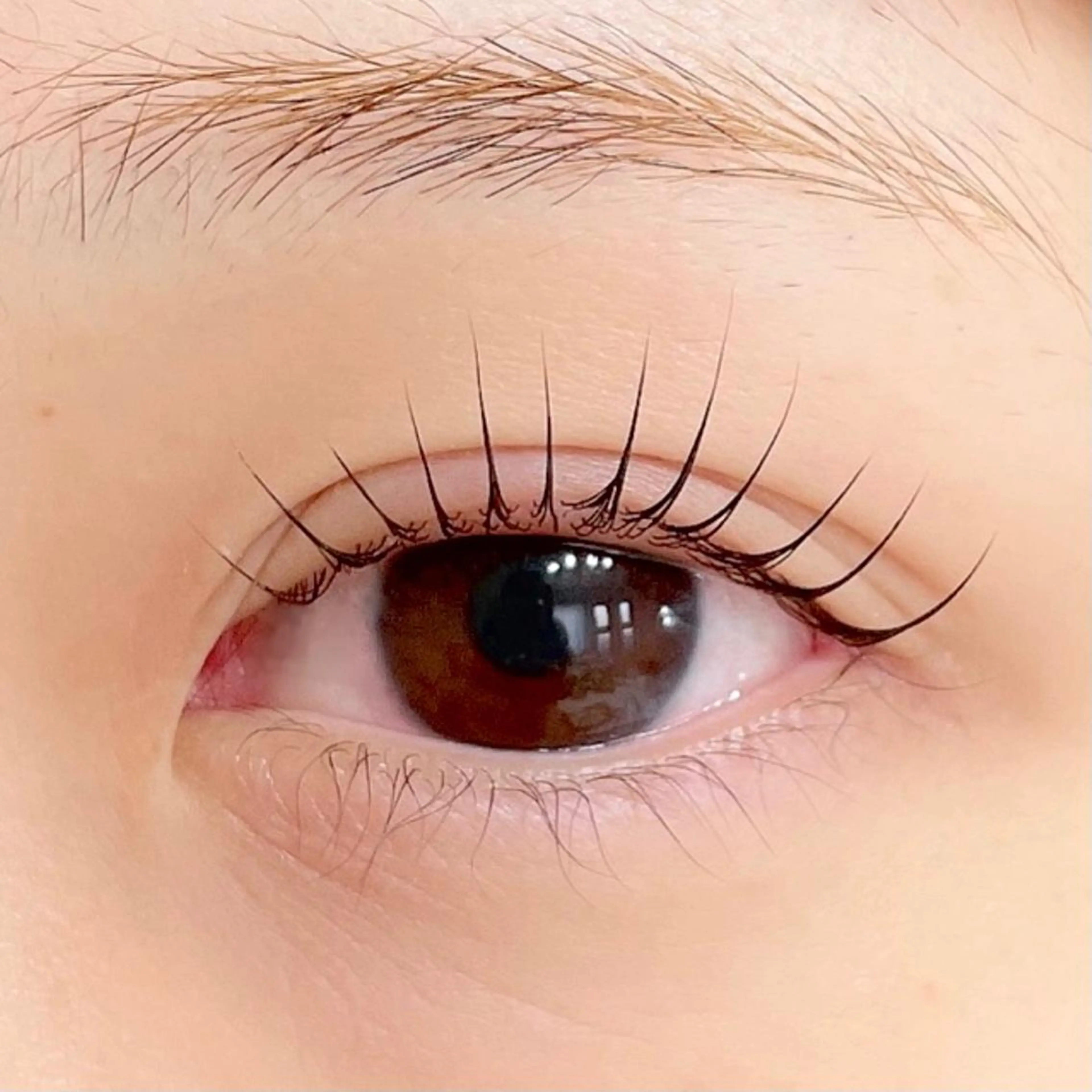 マツエク・マツパ ant_u🌷 arisaのマツエク・マツパデザイン