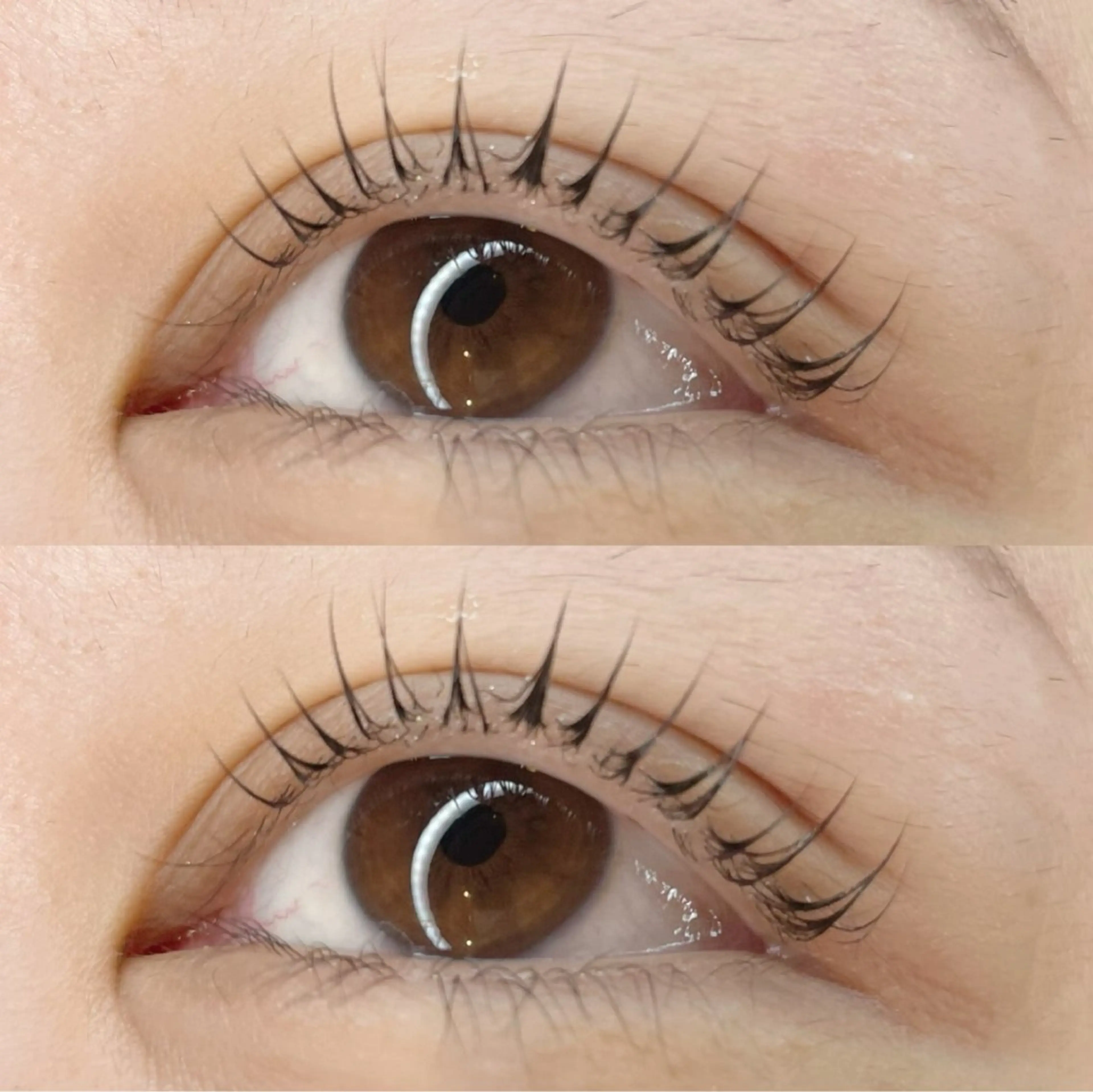 マツエク・マツパ マツパ Clair もりたにのマツエク・マツパデザイン