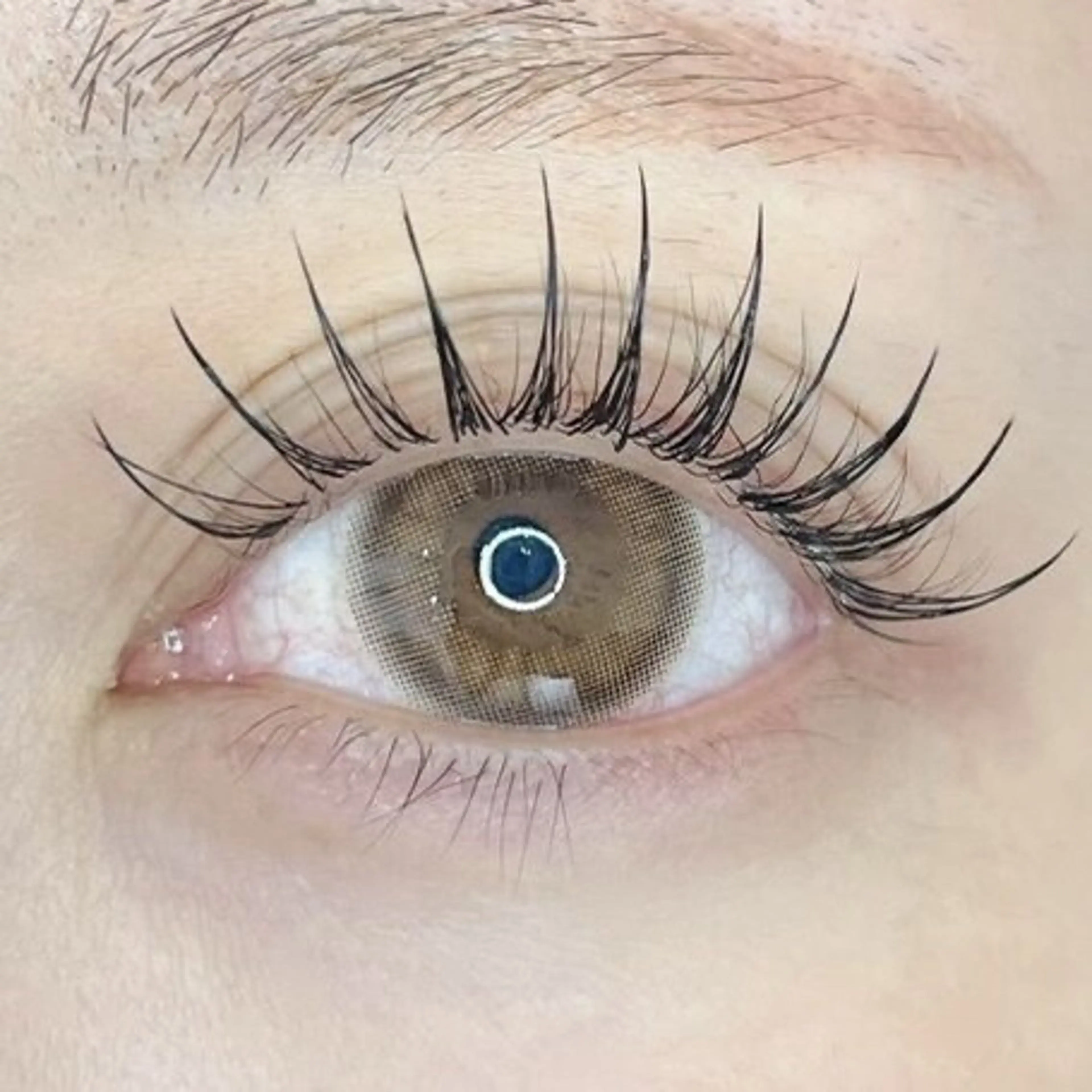 フラットラッシュエクステ100〜120本🎀※詳細お読み下さいの写真