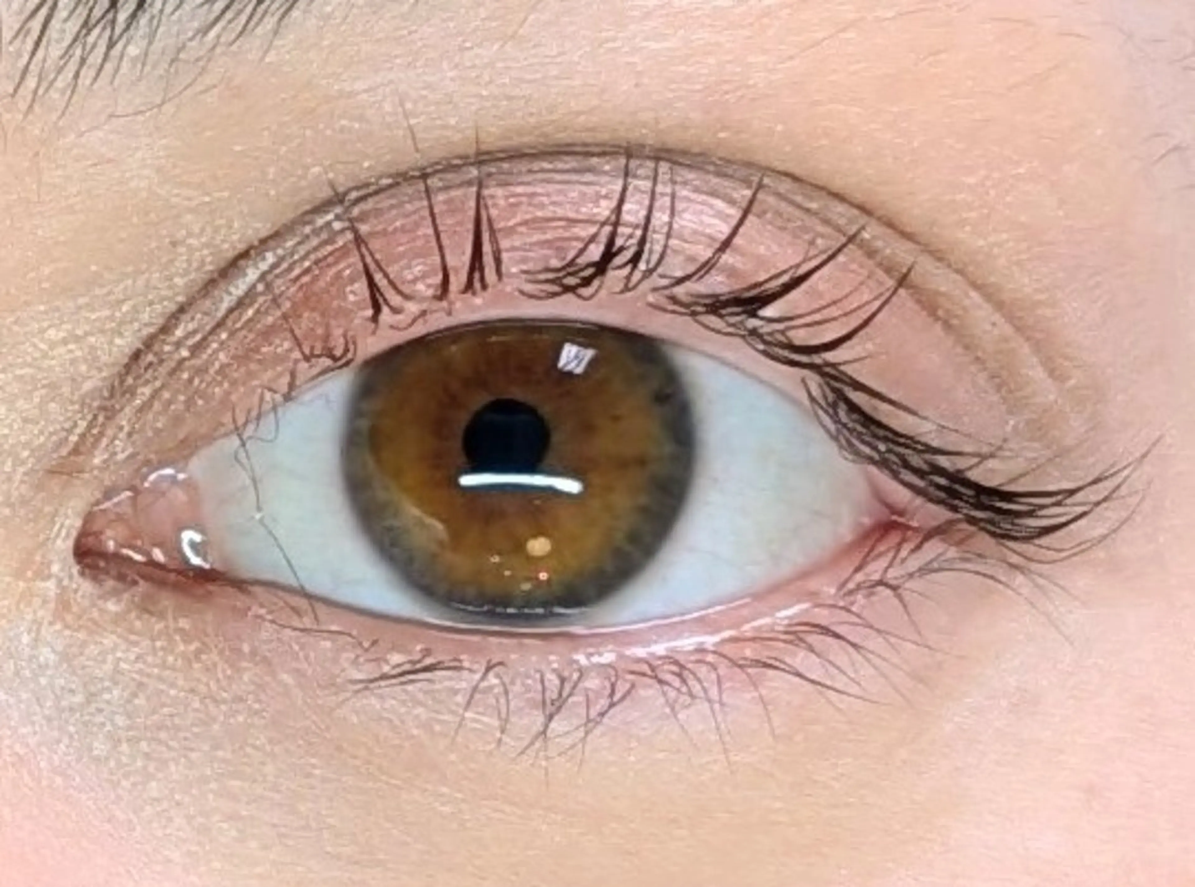 マツエク・マツパ まつげパーマ Sun Brown Ryu-gaのマツエク・マツパデザイン