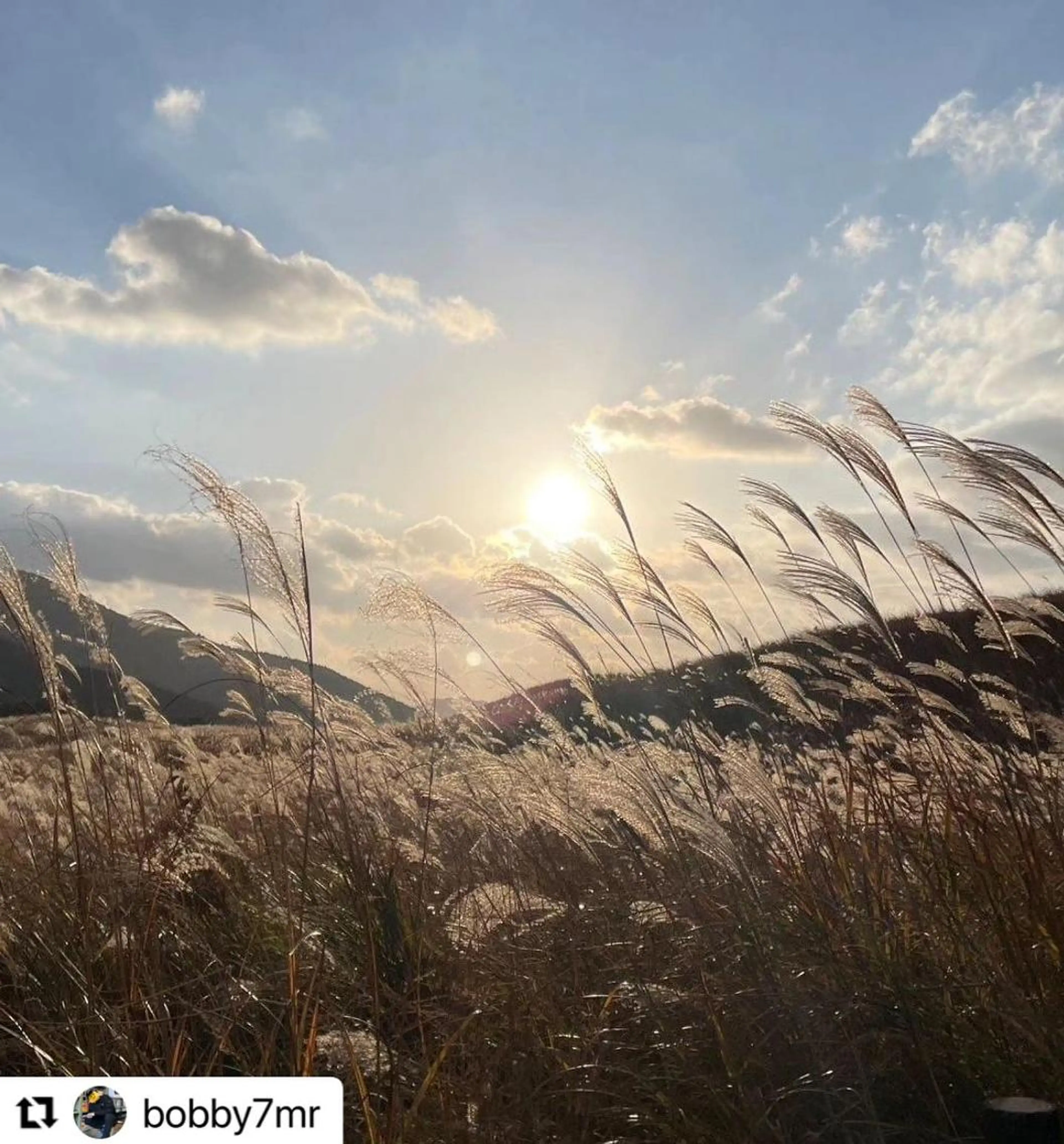 ミディアム カラー メンズ 🩷Eny terrace🩷のヘアスタイル