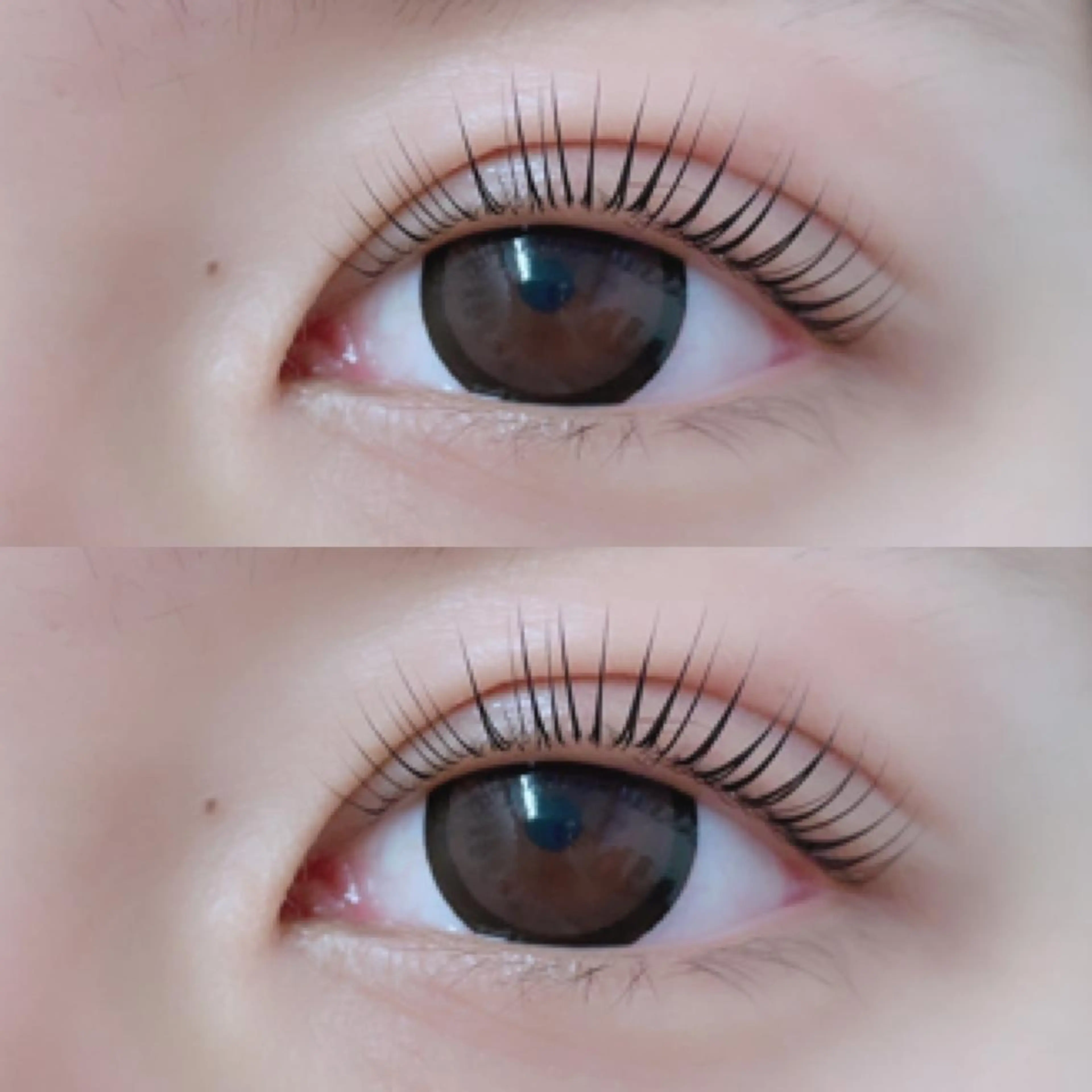 〔🌼まつ毛パーマ🌼〕パリジェンヌ、ラッシュリフト等種類なんでも対応可能☁️の写真