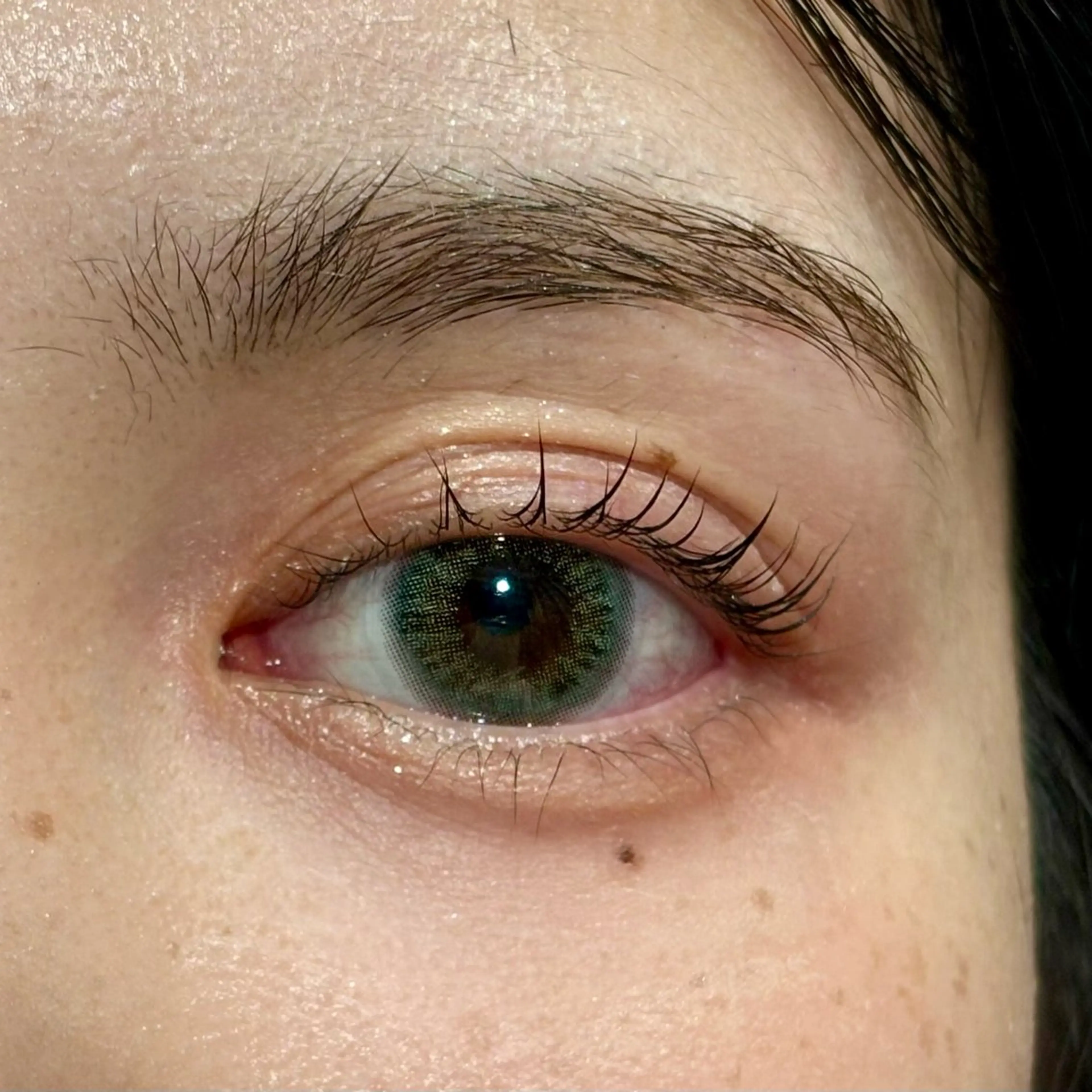 【人気No.1】パリジェンヌ🪄まつげパーマ🪽束感コーティング仕上げの写真