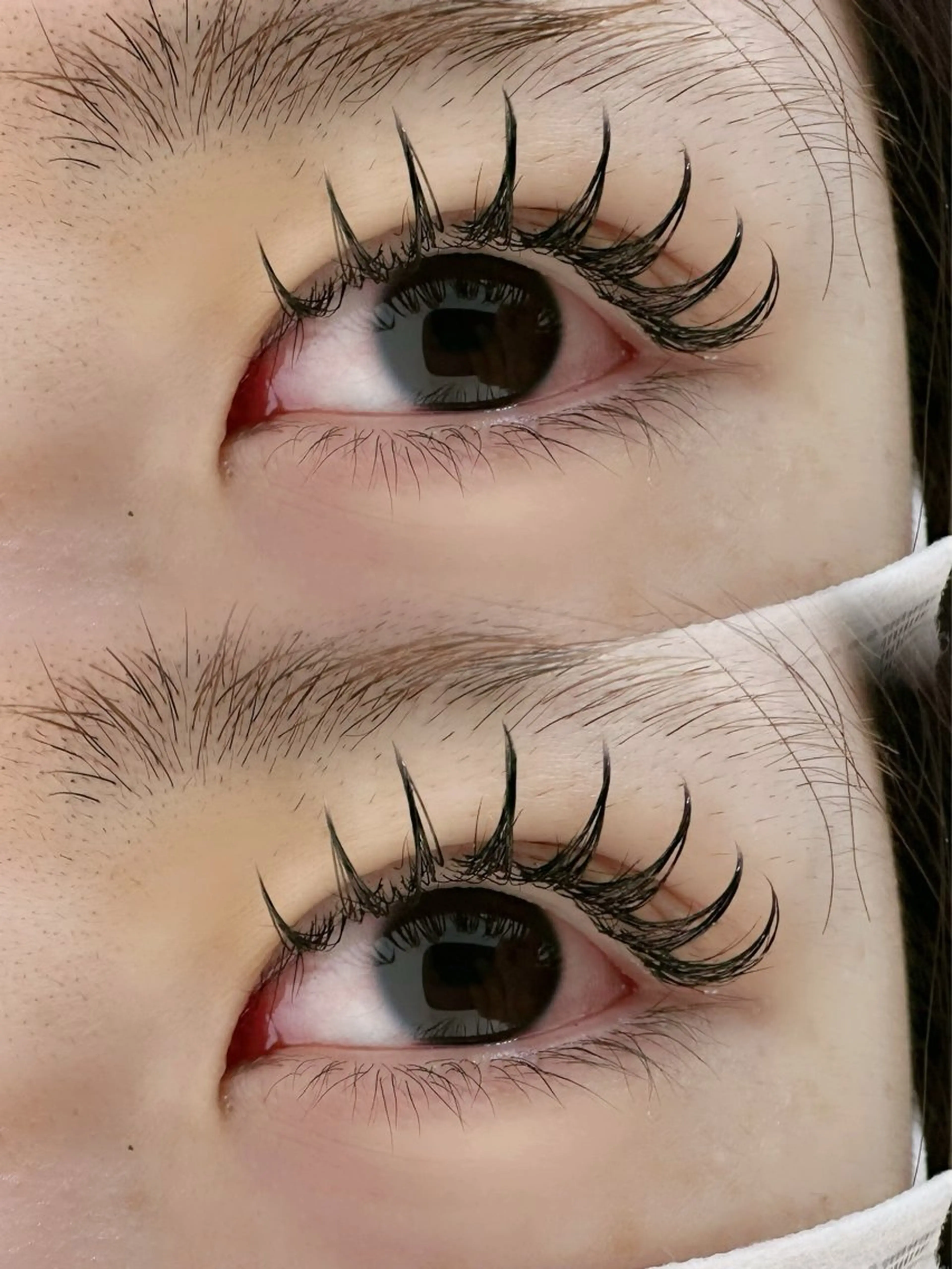 バインドロック+アンドヘルシー　80束　　　　　　　　　　LED +アイパック+コーティング束感の写真