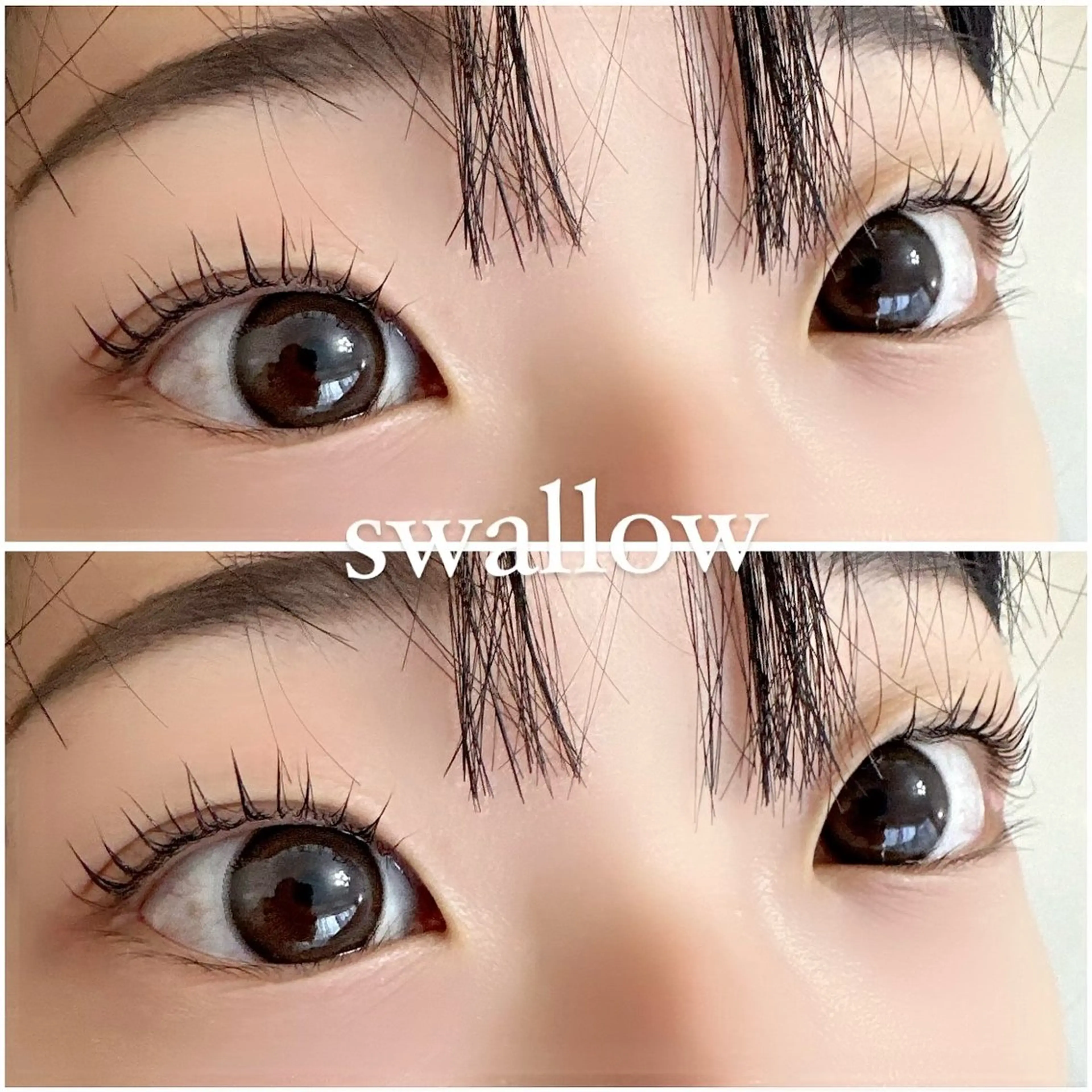 マツエク・マツパ 一重×まつ毛パーマ swallow 奈良西大寺店のマツエク・マツパデザイン