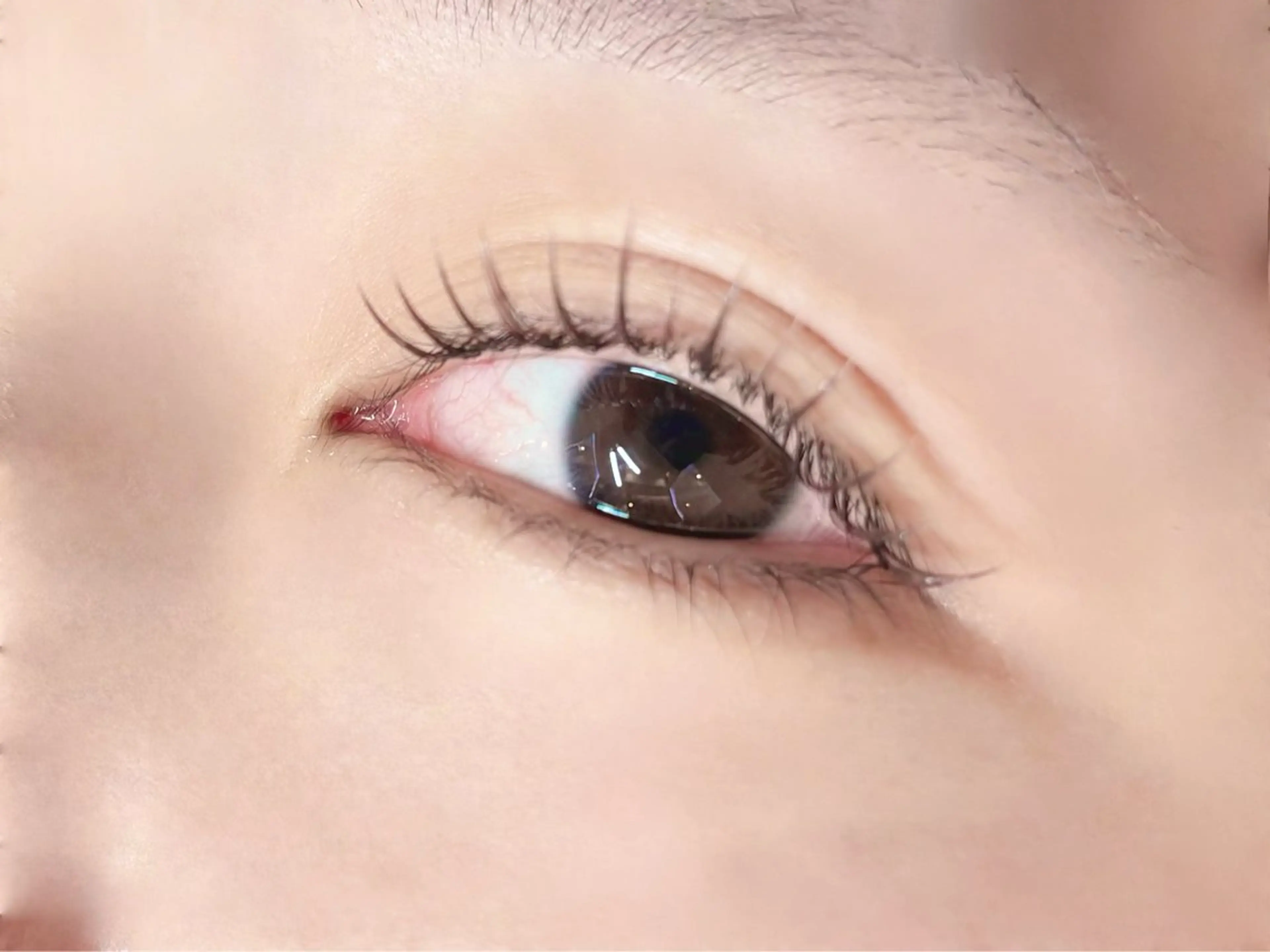 マツエク・マツパ カラーマツエク マツエク Pupu lash ‪ ꪔ̤のマツエク・マツパデザイン