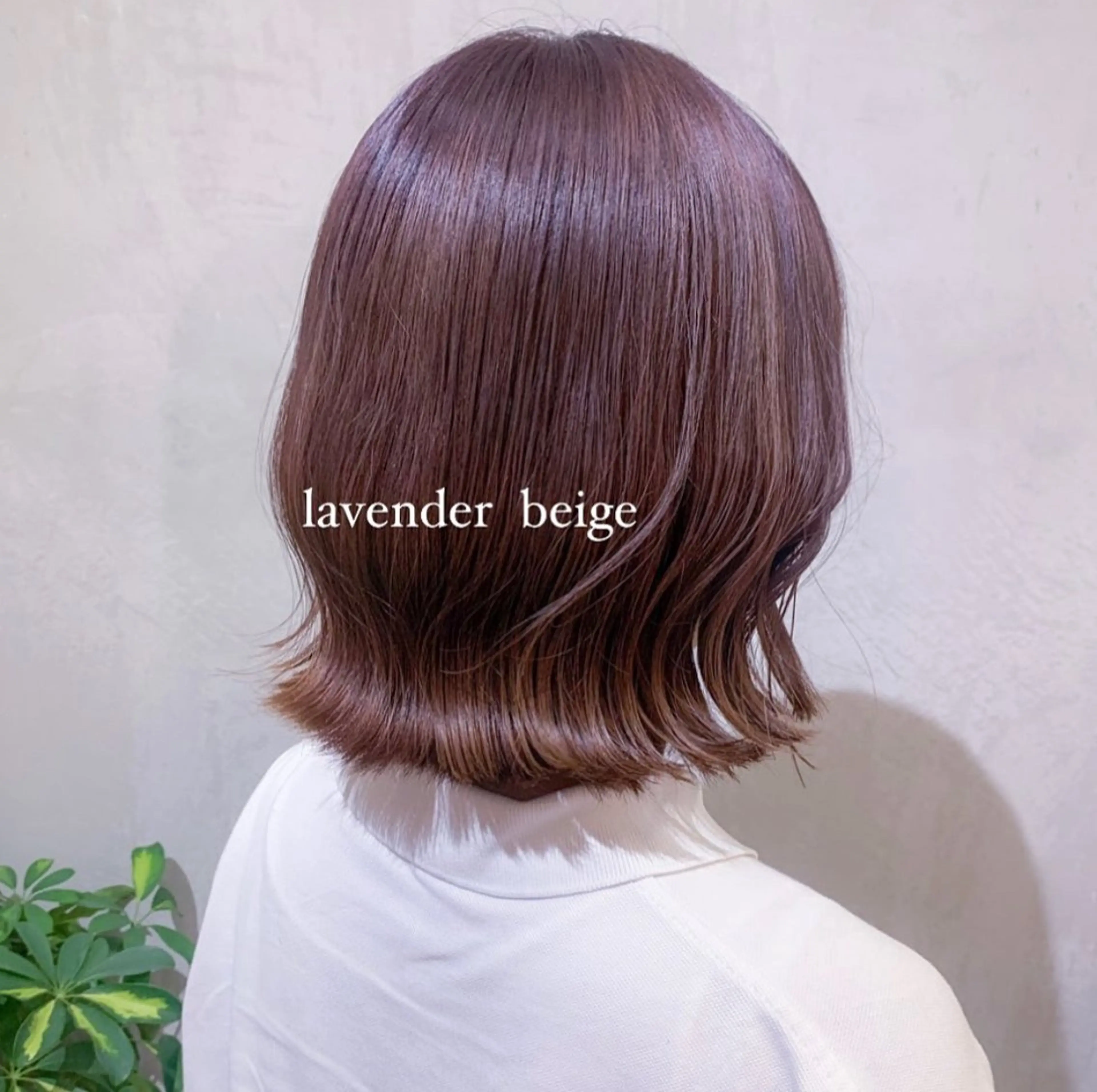 ミディアム カット ヘアカラー トリートメント 🤍aimi🤍 ウルフ/韓国ヘアのヘアスタイル