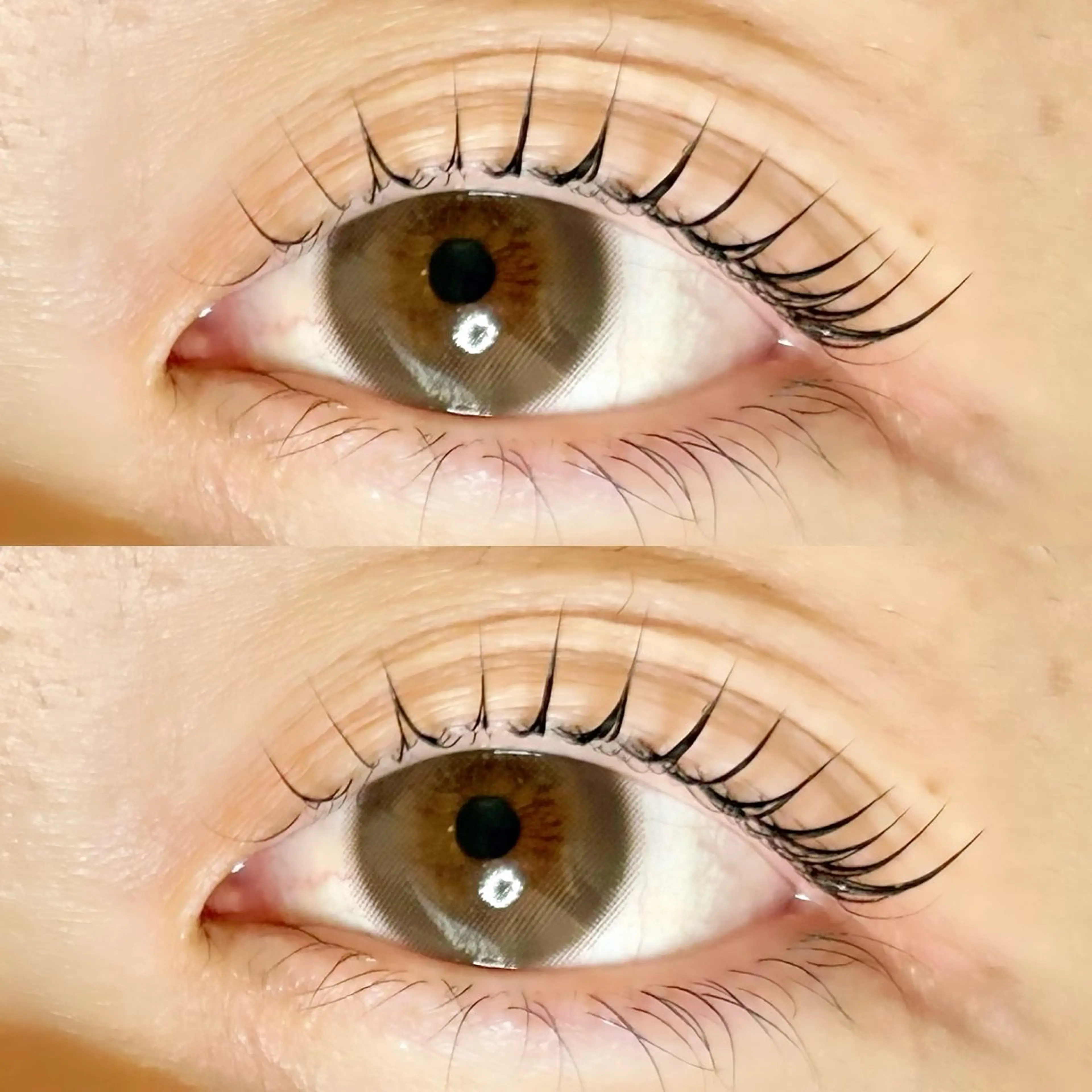 マツエク・マツパ マツパ Roy's lash ♡　AYAのマツエク・マツパデザイン