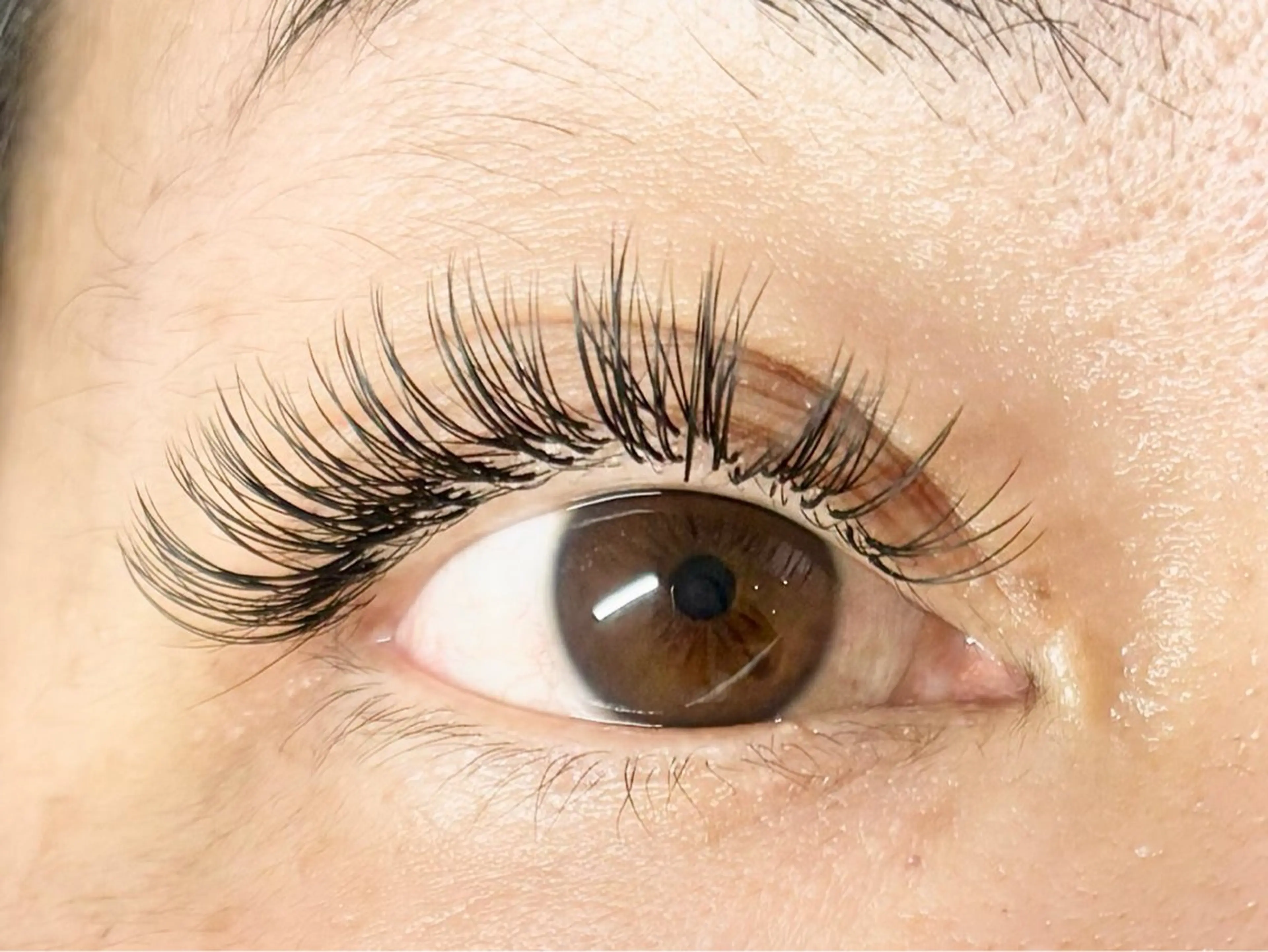 マツエク・マツパ フラットラッシュ 中村彩香 (エフドゥ)のマツエク・マツパデザイン