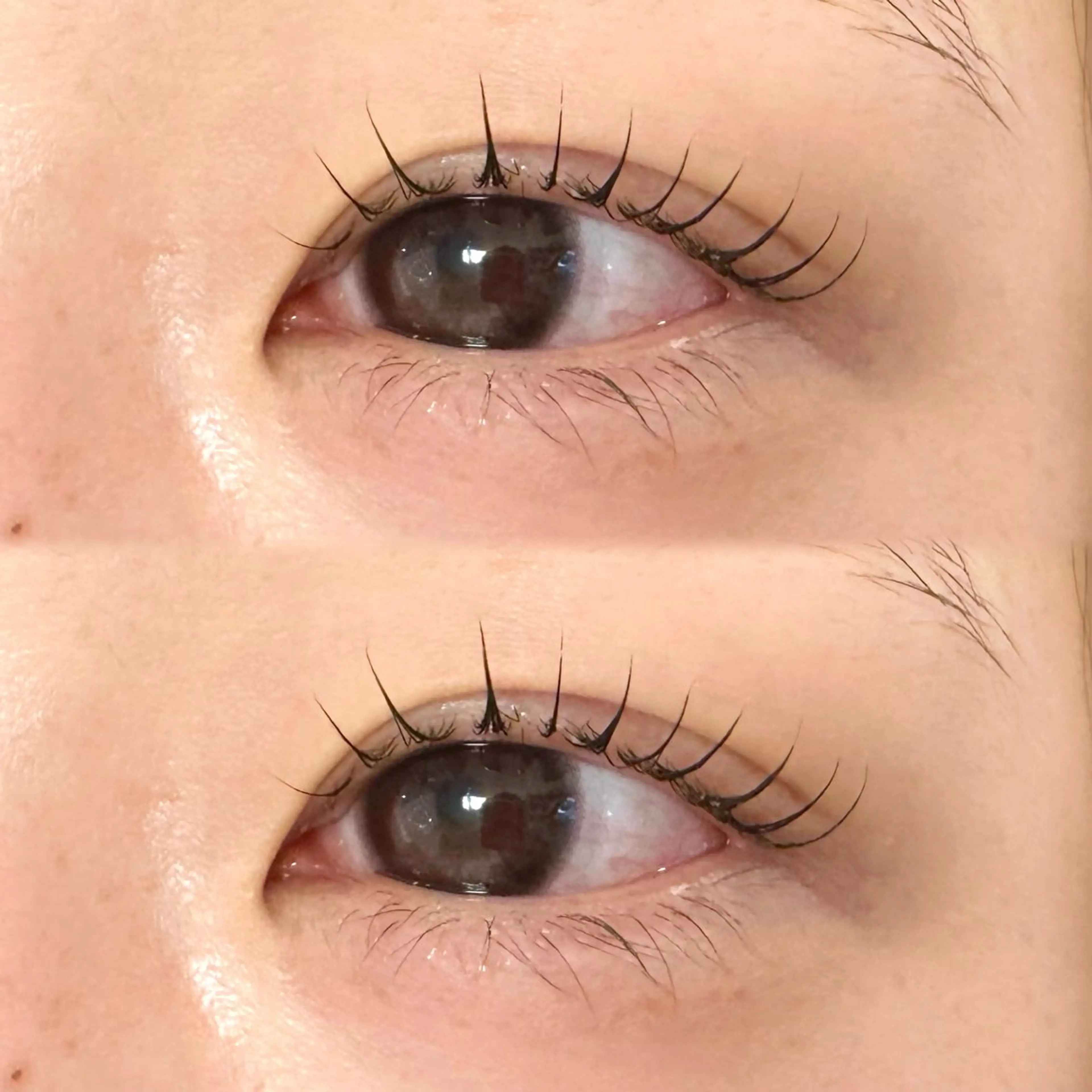 マツエク・マツパ マツパ 南舘 由奈の眉毛・アイブロウイメージ