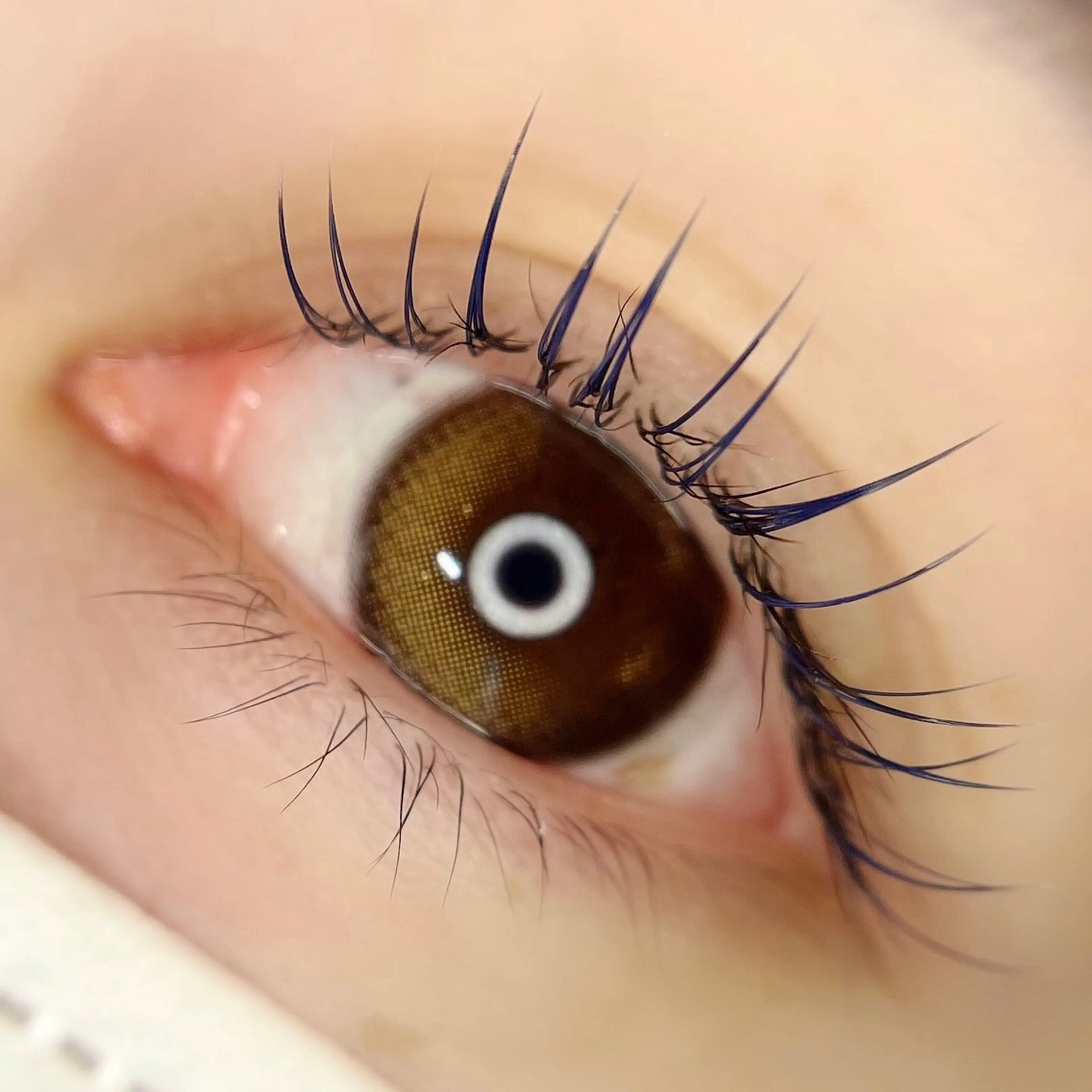 マツエク・マツパ 🤍南流山MaaZ staff1⃣🤍のマツエク・マツパデザイン