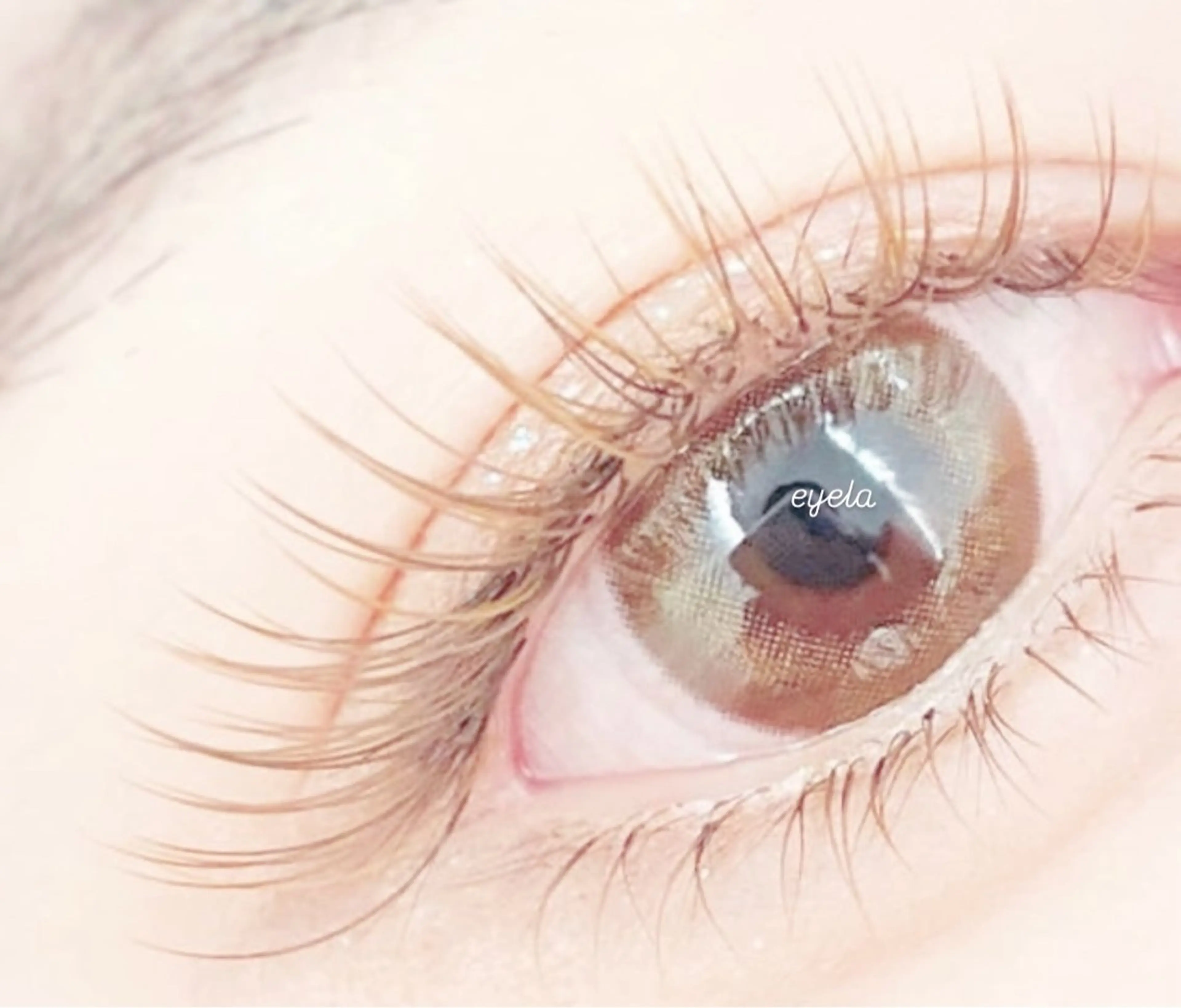 マツエク・マツパ EYELA高田馬場 matsushitaのマツエク・マツパデザイン