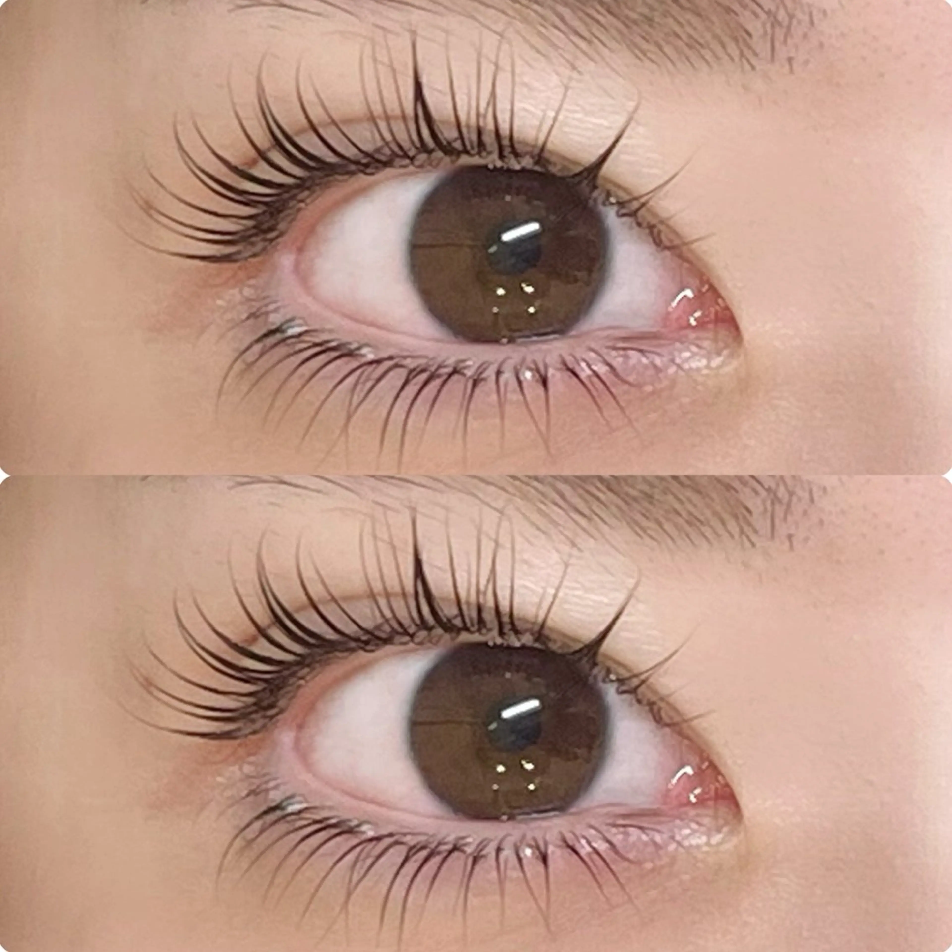 U25🌿‬【上下 】🌼トリートメント成分配合まつパ 上まつ毛のデザイン全てお選びいただけます✨️の写真