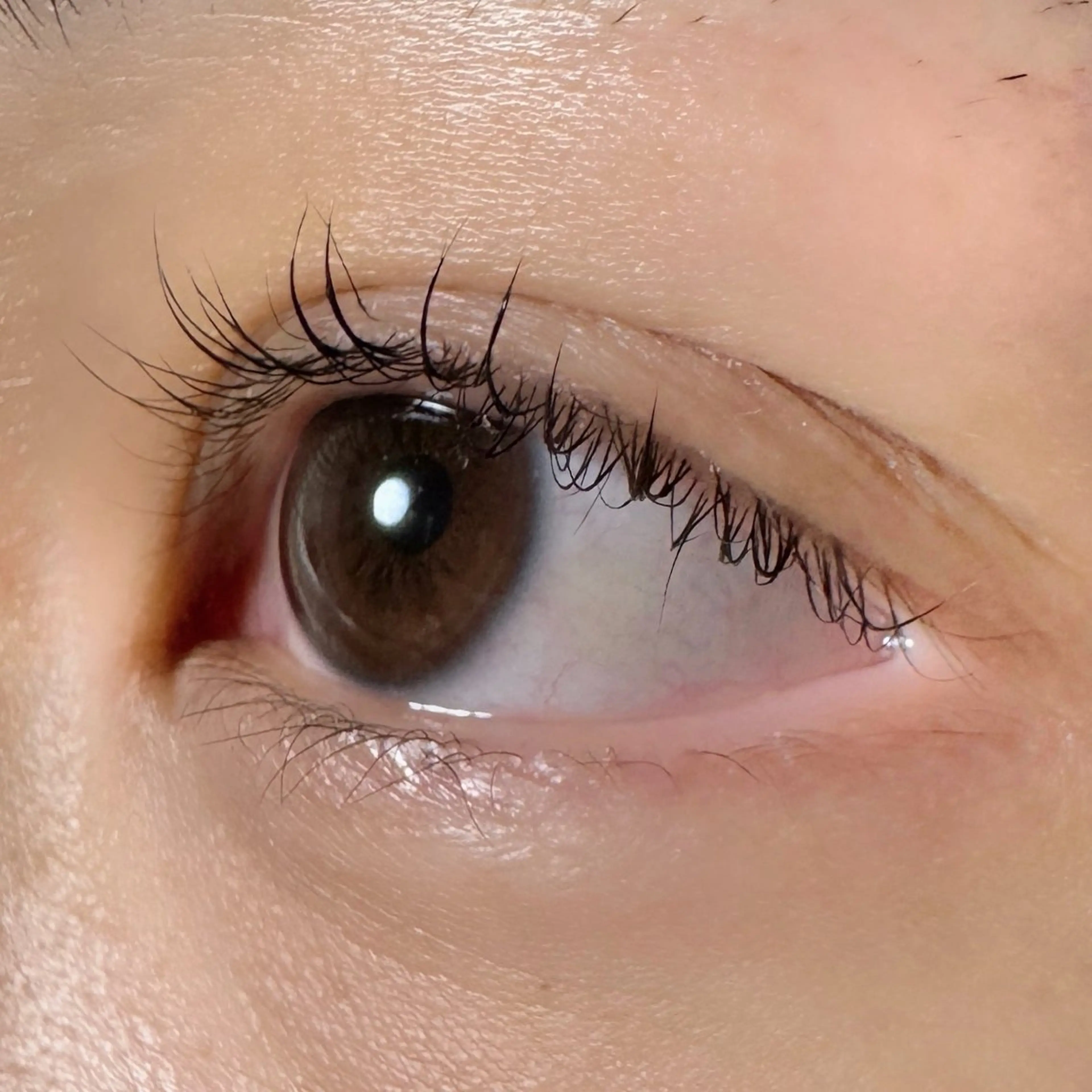 マツエク・マツパ nu ✧︎*。のヘアスタイル