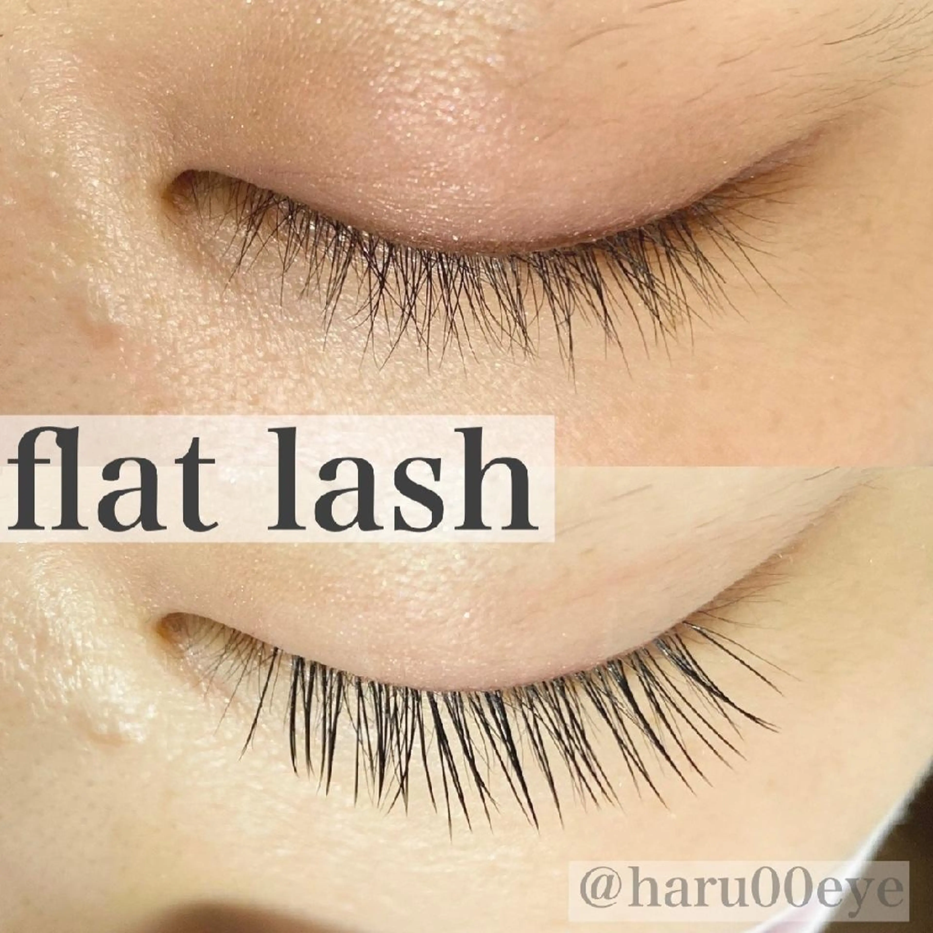 フラットラッシュ120本の写真