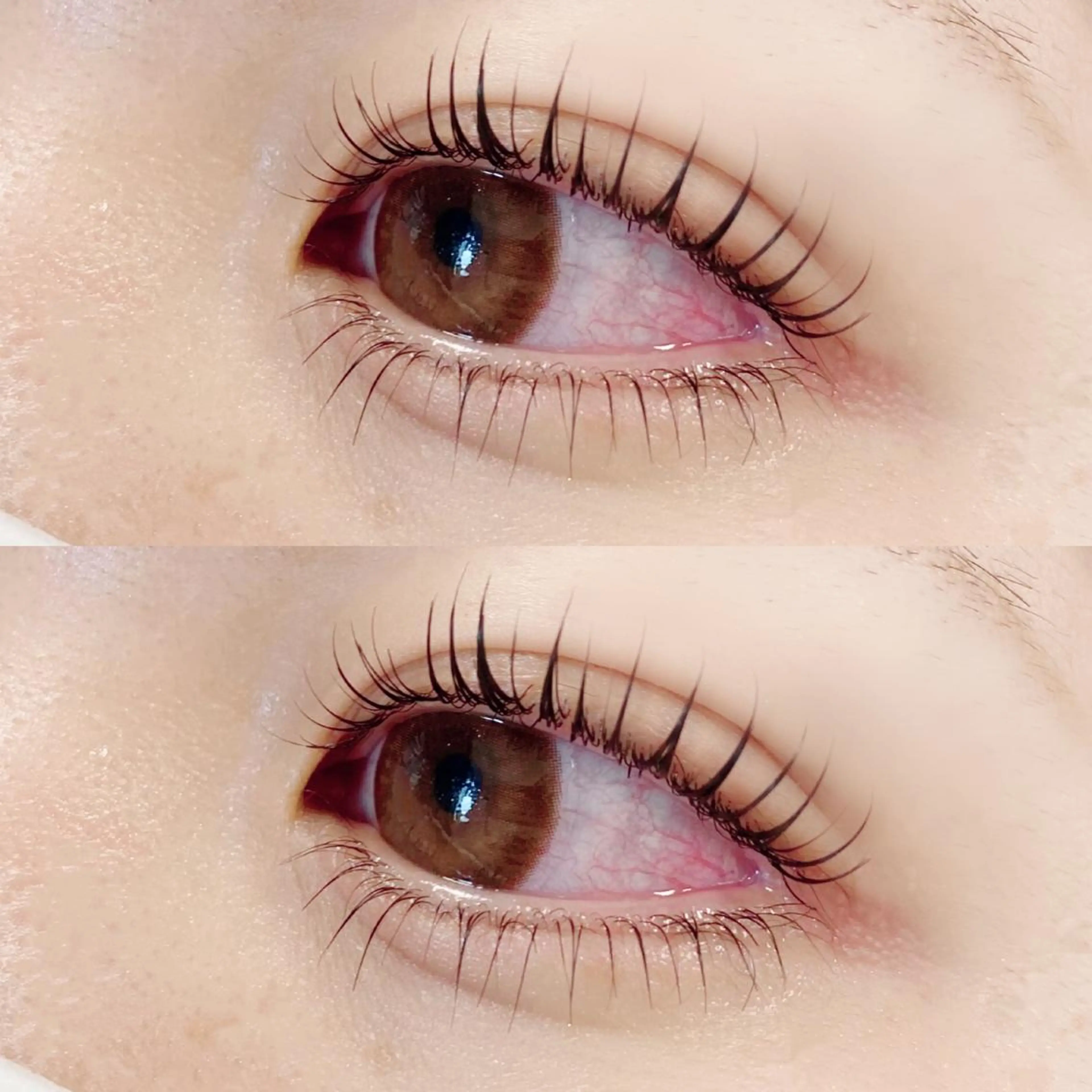 《パーマ / セット》上下まつ毛パーマの写真