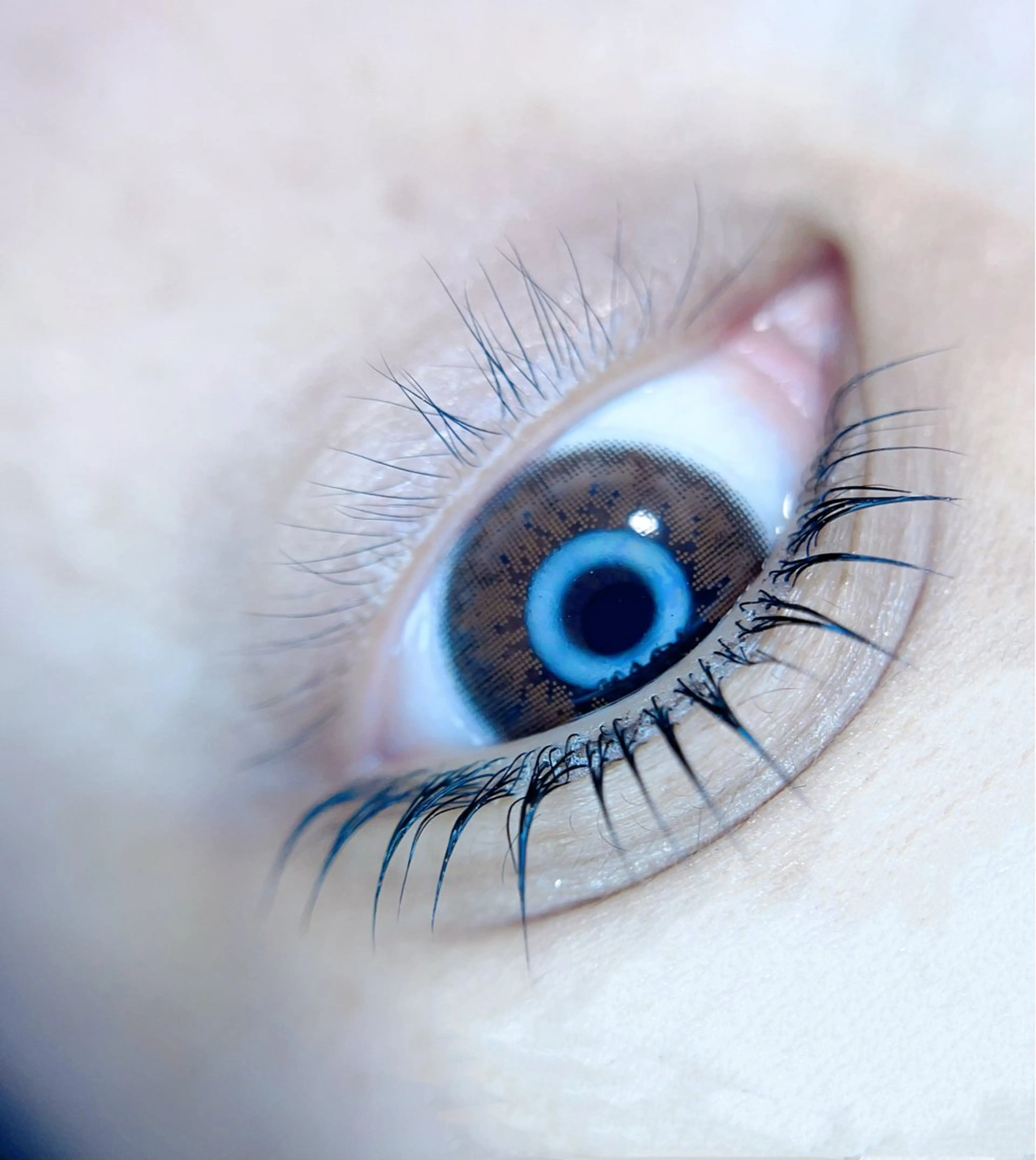 マツエク・マツパ パリエク専門店 FOIのマツエク・マツパデザイン