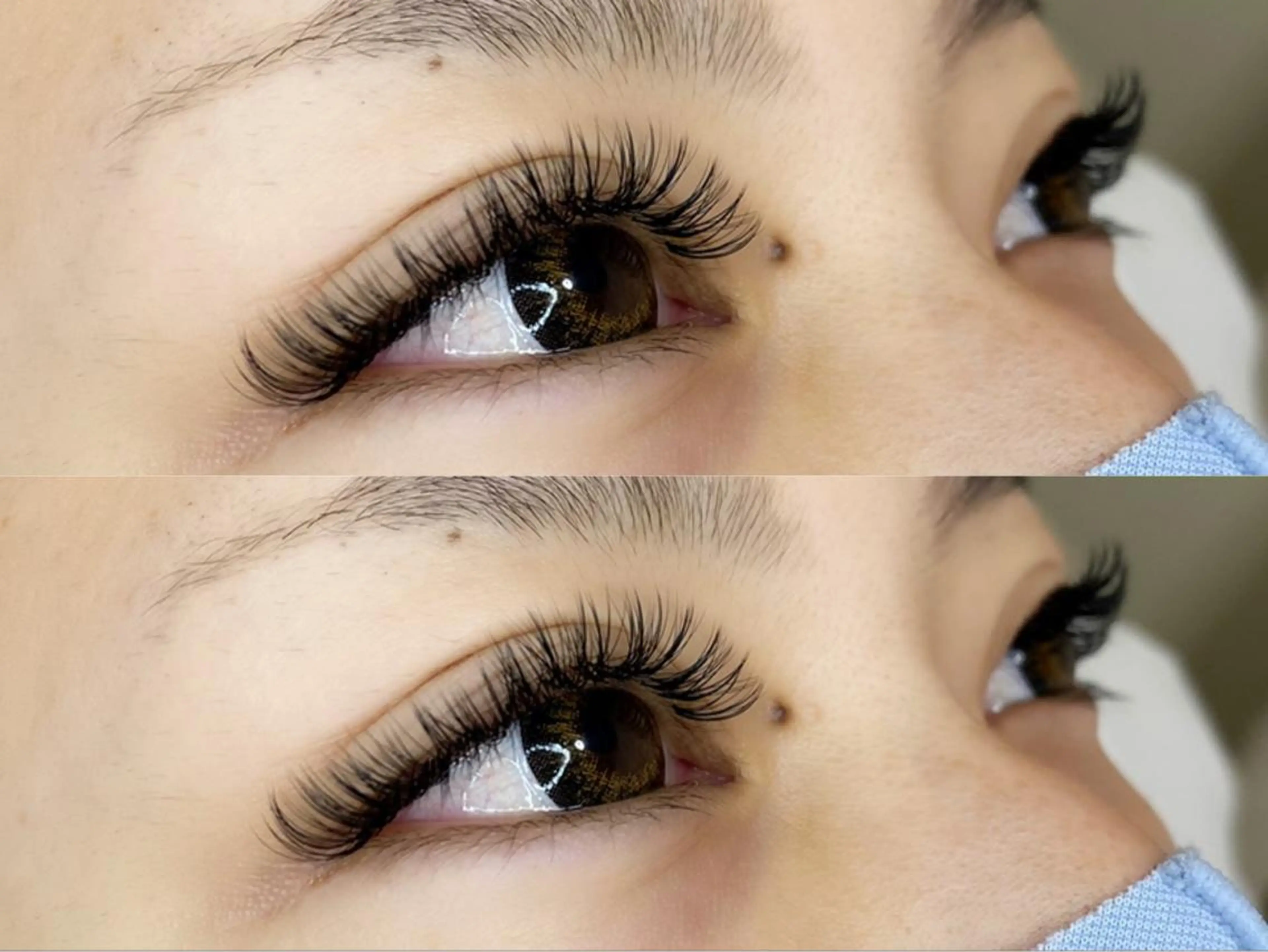 オフ込み　バインドロック🌹80束の写真