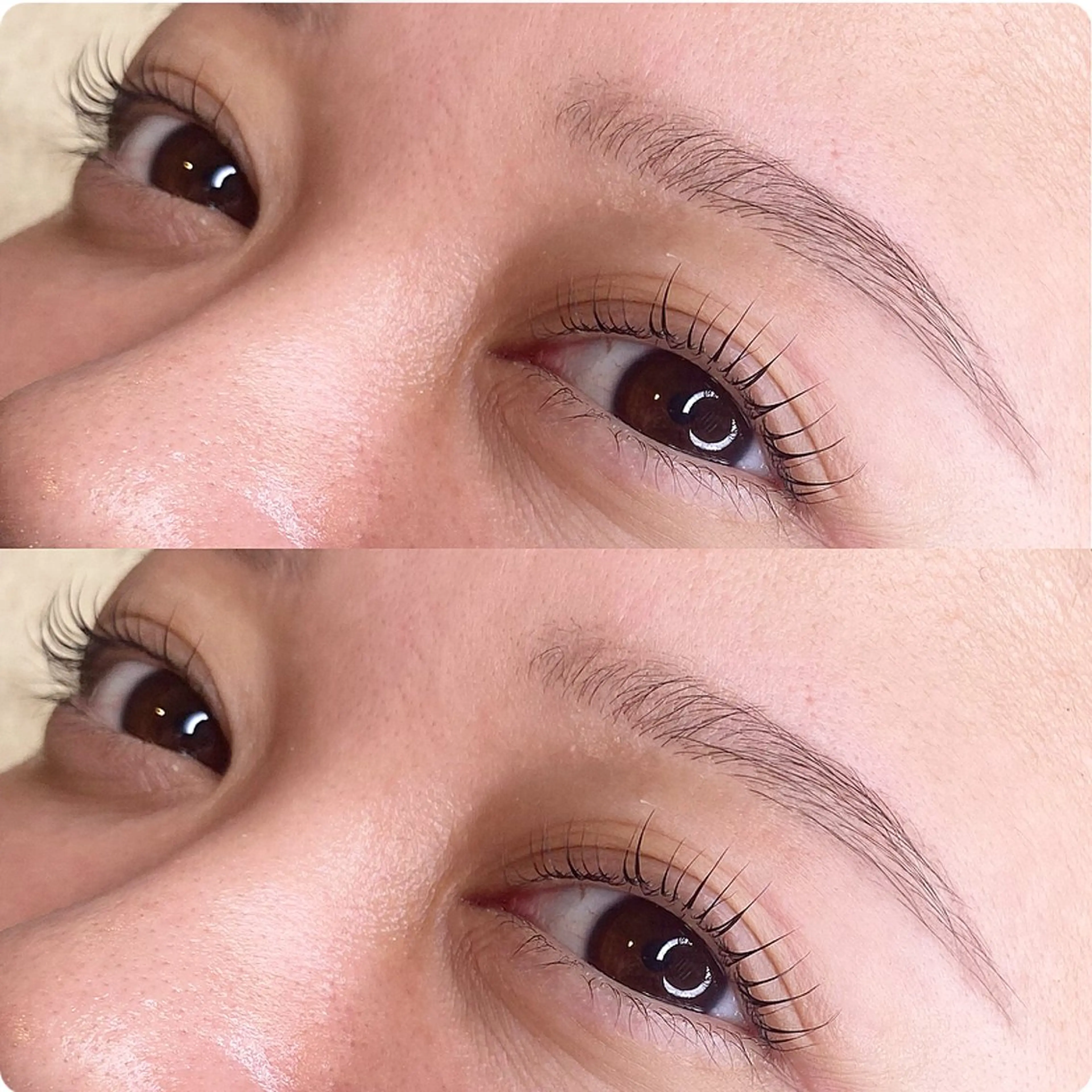 🦋まつ毛パーマ×眉毛Wax🦋の写真