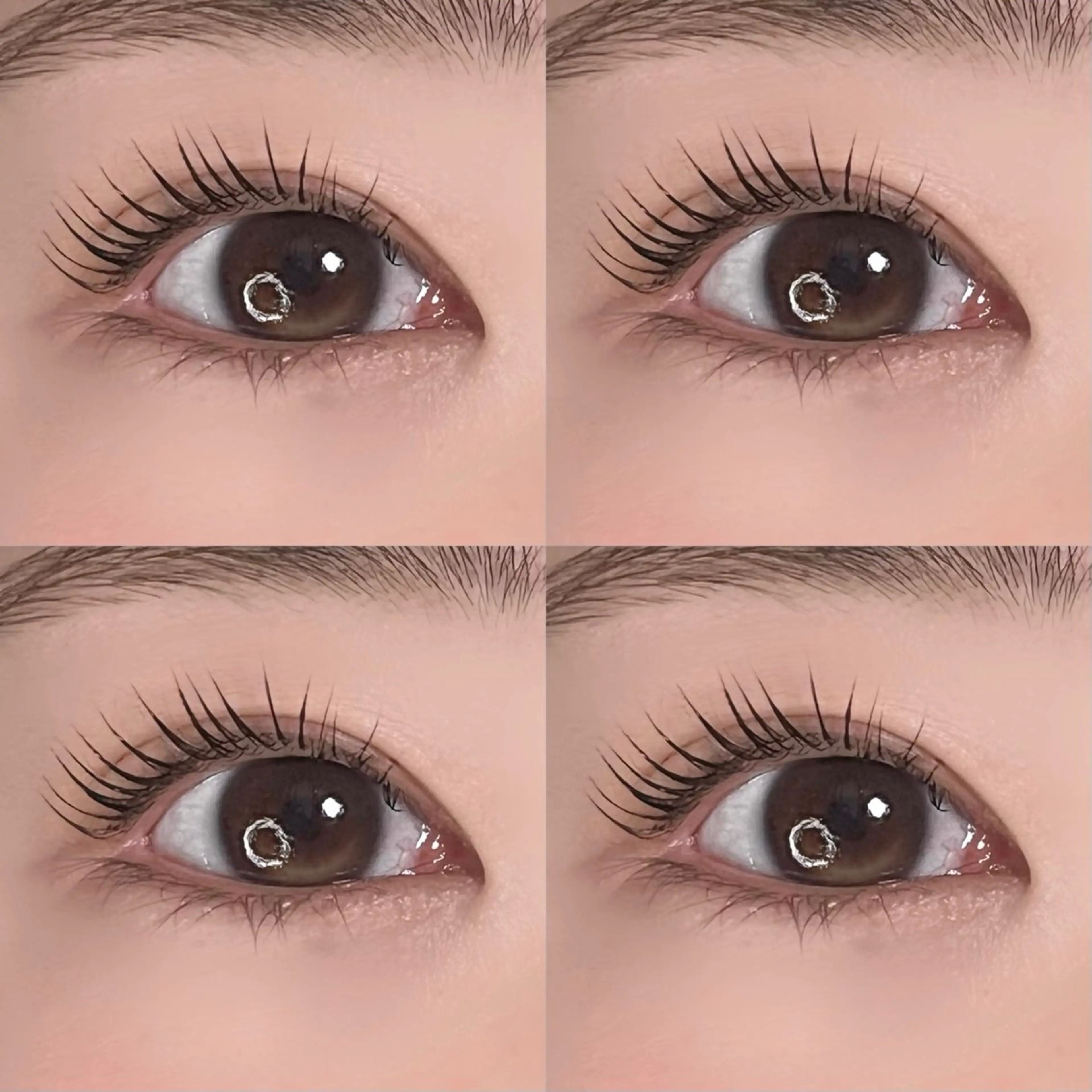 マツエク・マツパ 垢抜け眉WAX専門 ちゅるんまつげ|鎌倉の眉毛・アイブロウイメージ