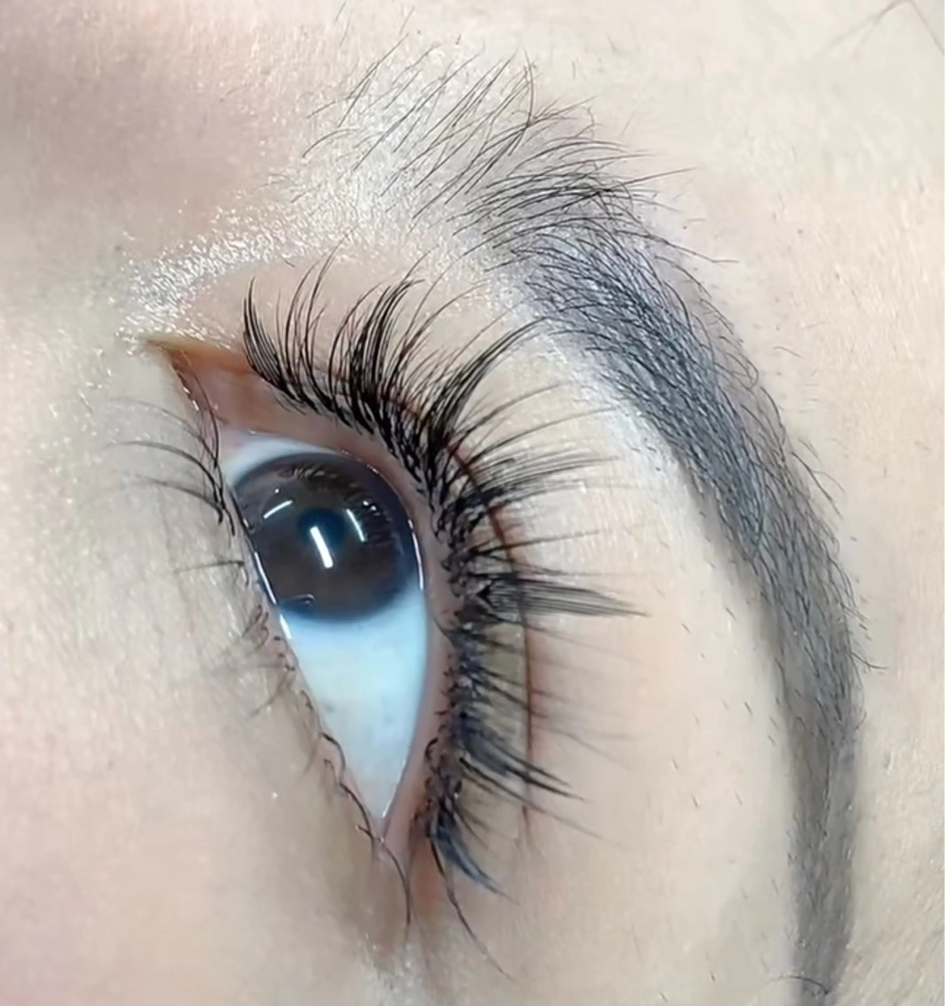 新導入 LED ボリューム200本x羽🪶束14束から20束の写真