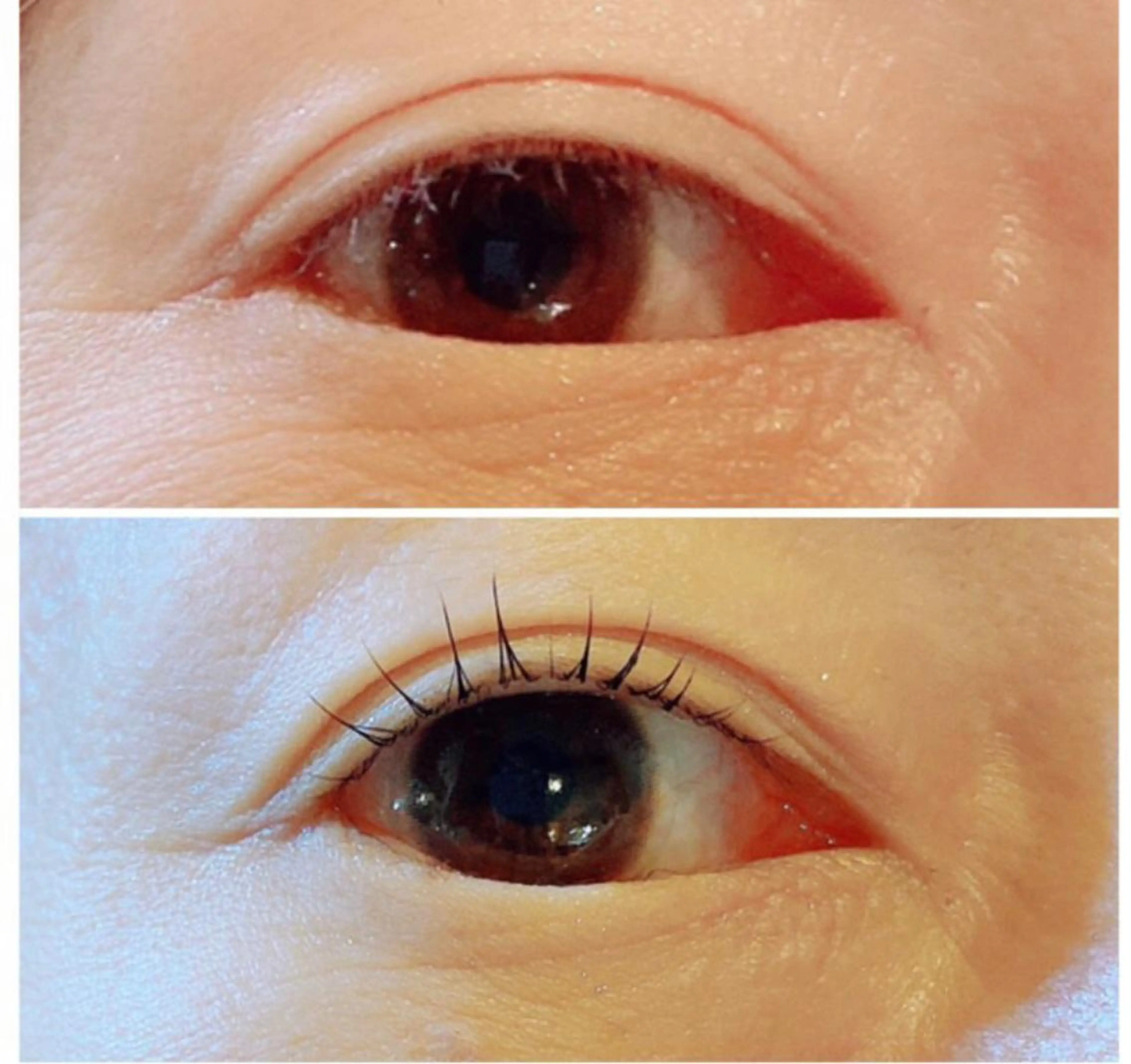 マツエク・マツパ Petit maisonのネイルデザイン