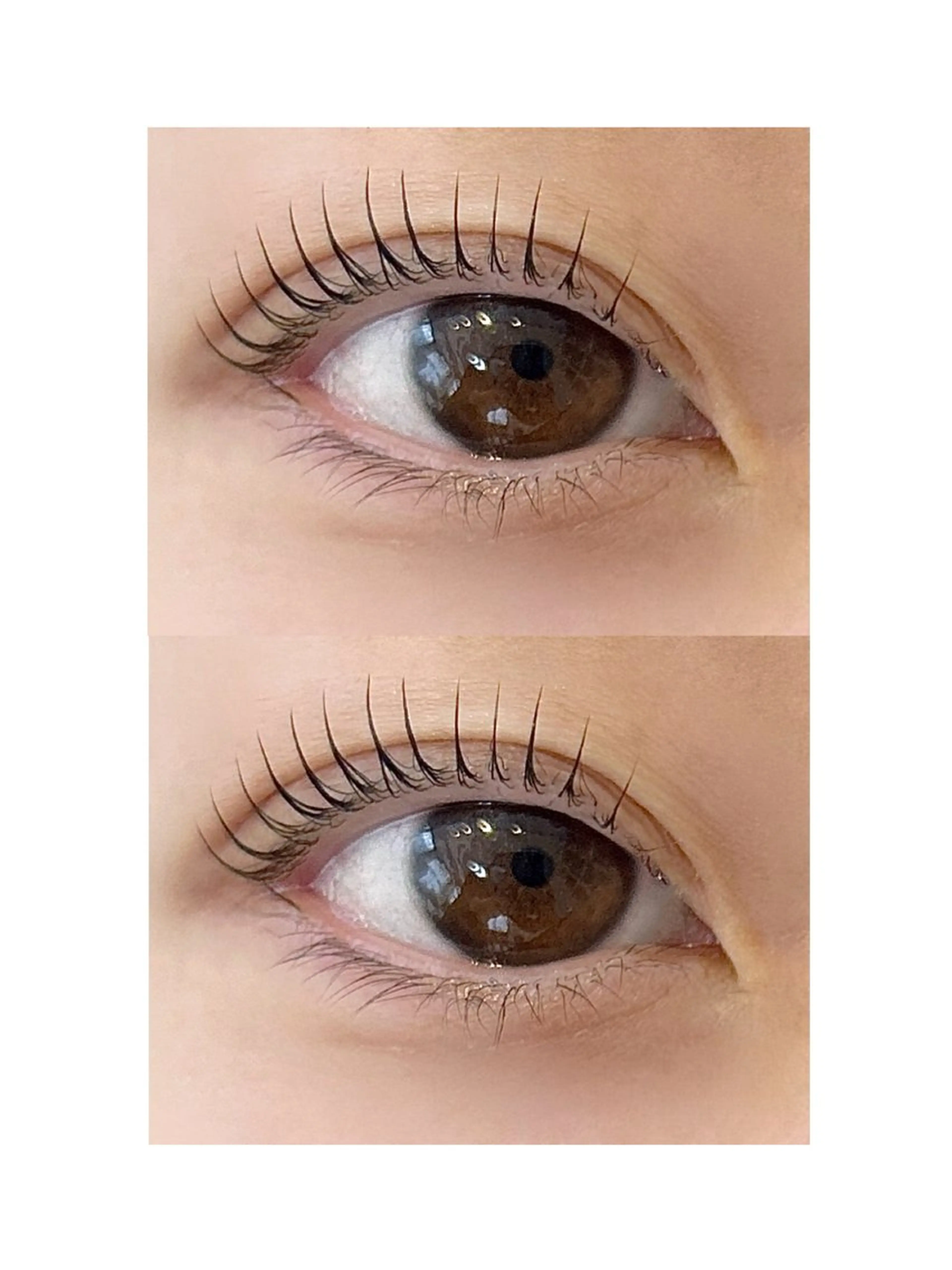 【セットメニュー❤️‍🔥】パリジェンヌラッシュリフト＋アイブロウwax ¥10,890の写真