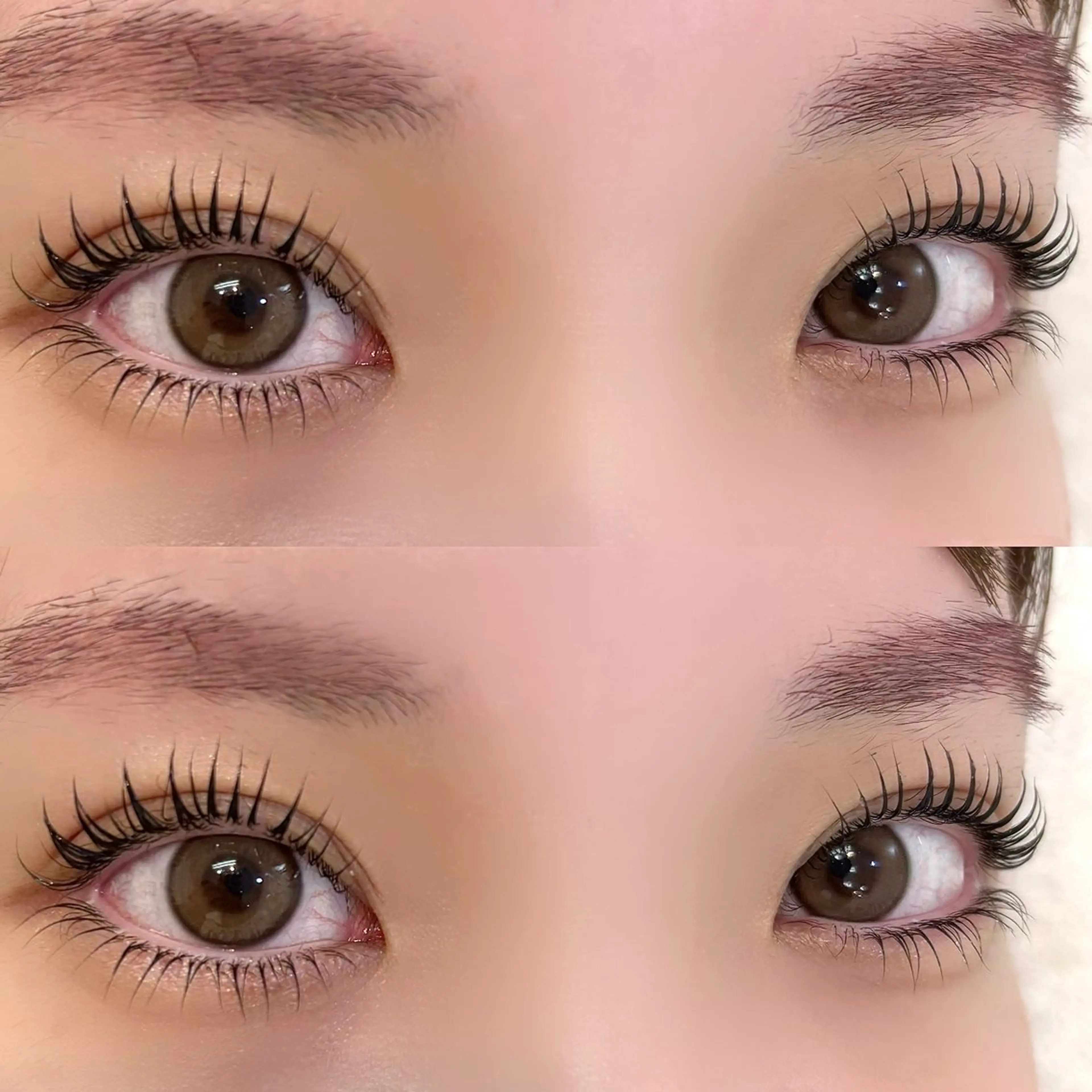 マツエク・マツパ マツパ Bianca 🌺SUZUKIのマツエク・マツパデザイン