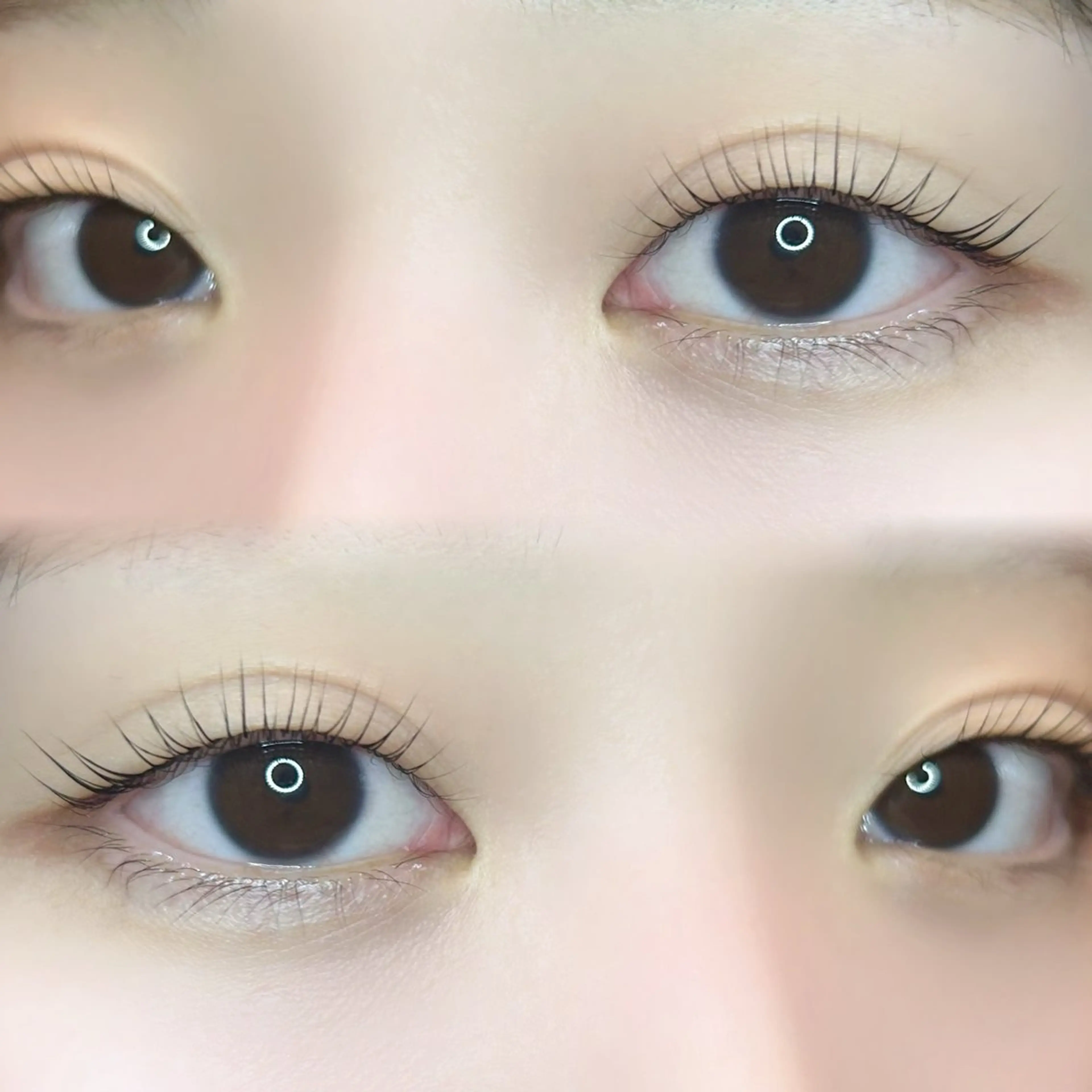 マツエク・マツパ 🍀fein. sakura🍀の眉毛・アイブロウイメージ