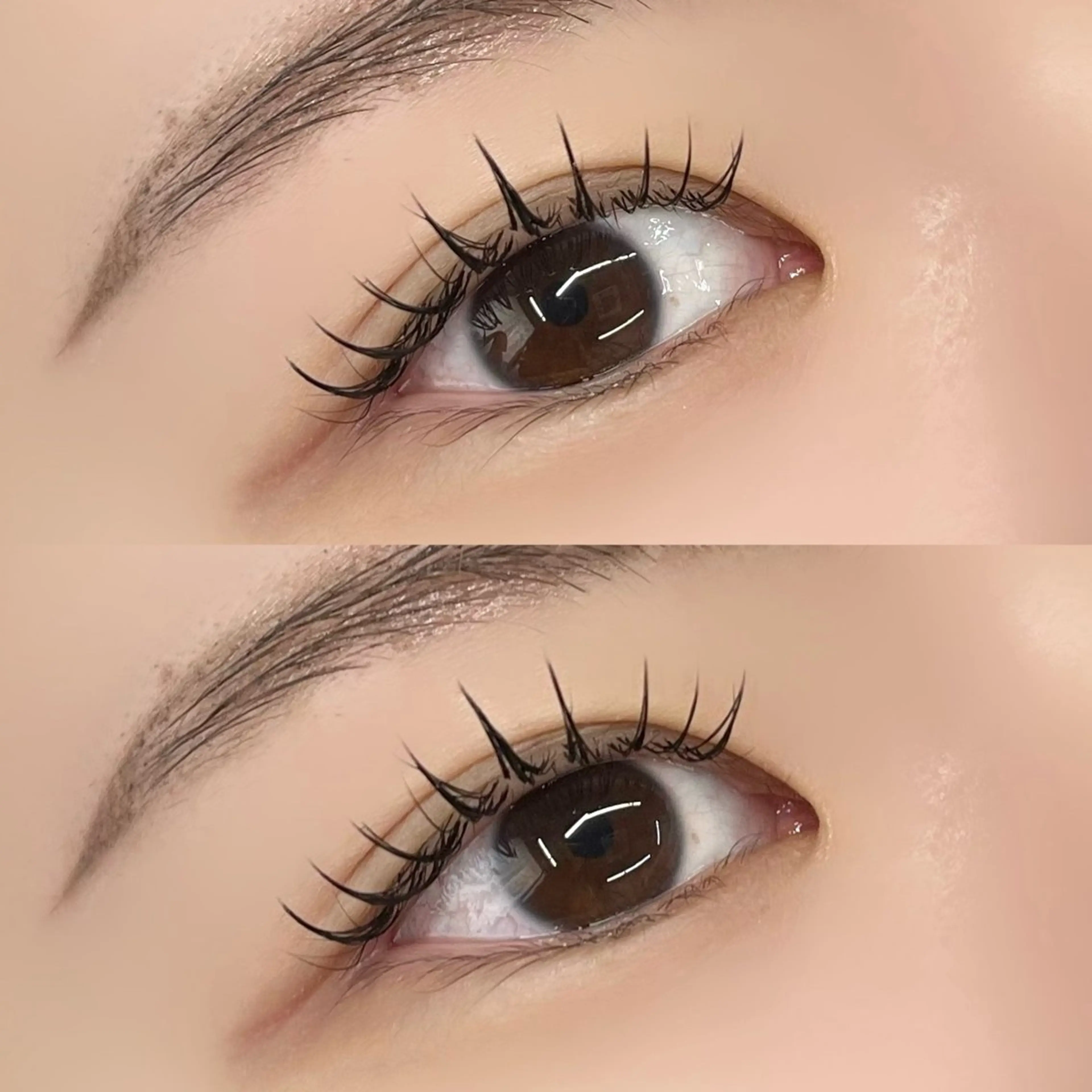 《当日予約限定》バインドロック80束✨¥6770の写真