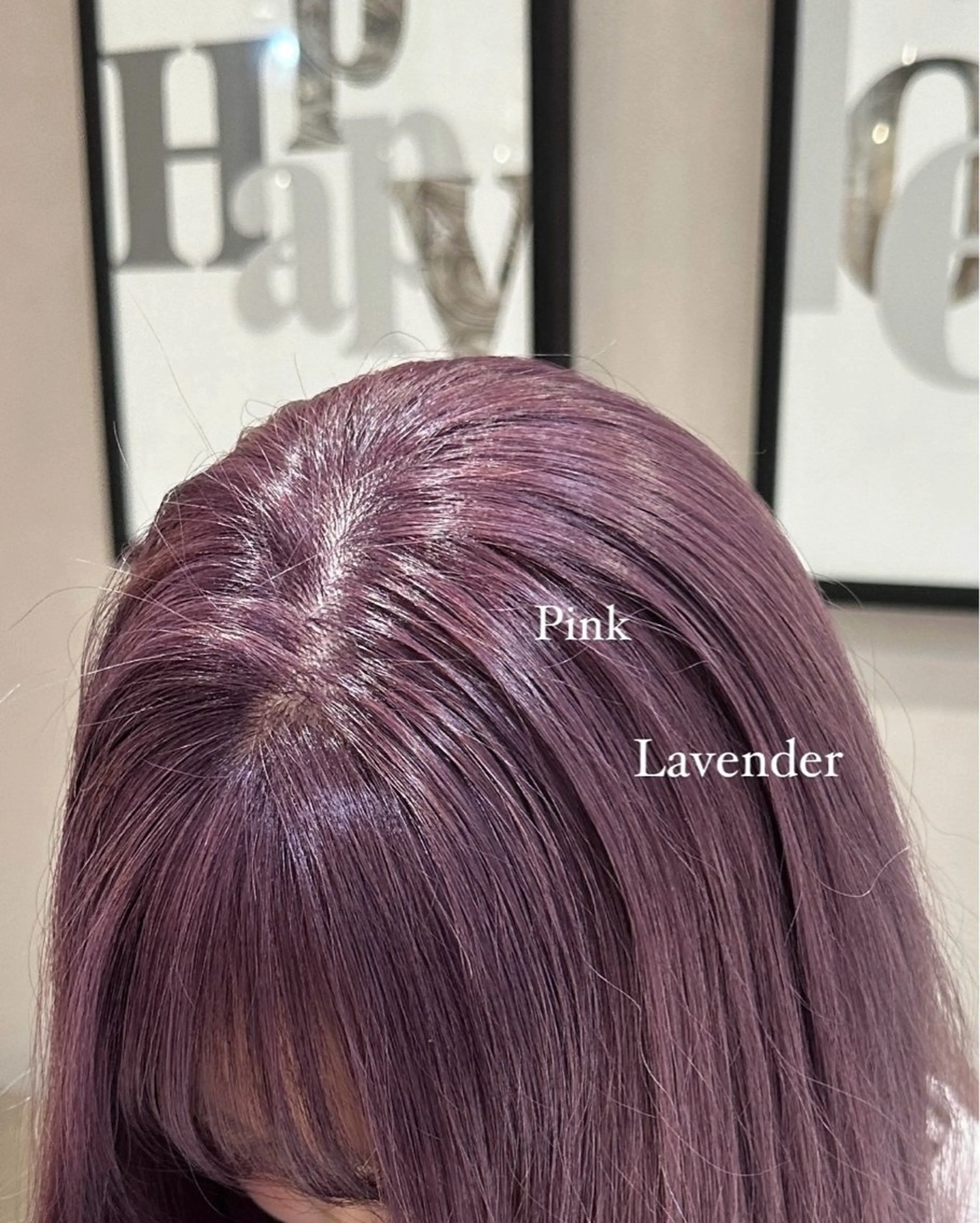 ワンカラー🐈‍⬛🪄︎︎の写真