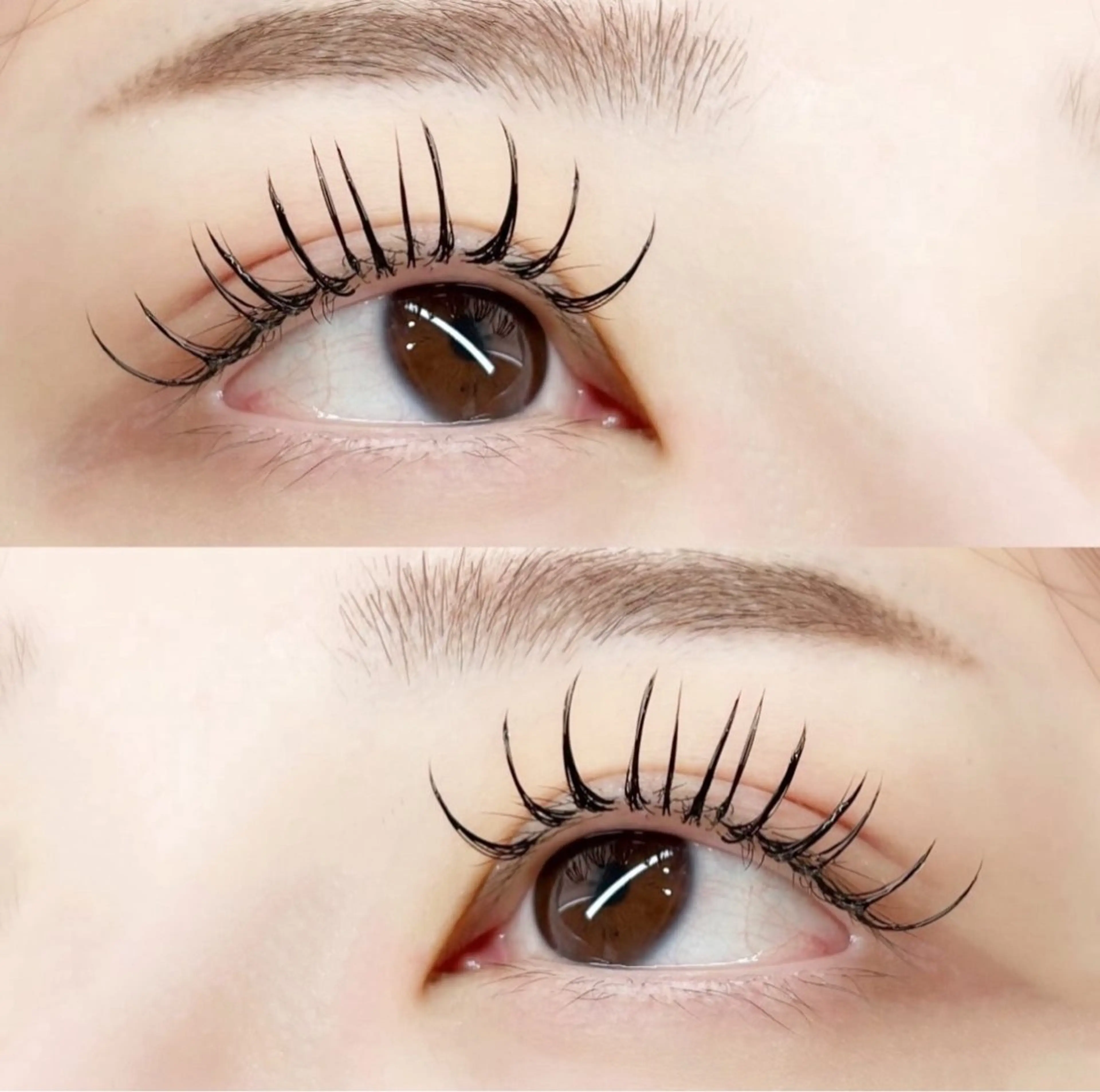 超軽量！！【フラットラッシュ100​〜​120本🌷】オフ込みの写真