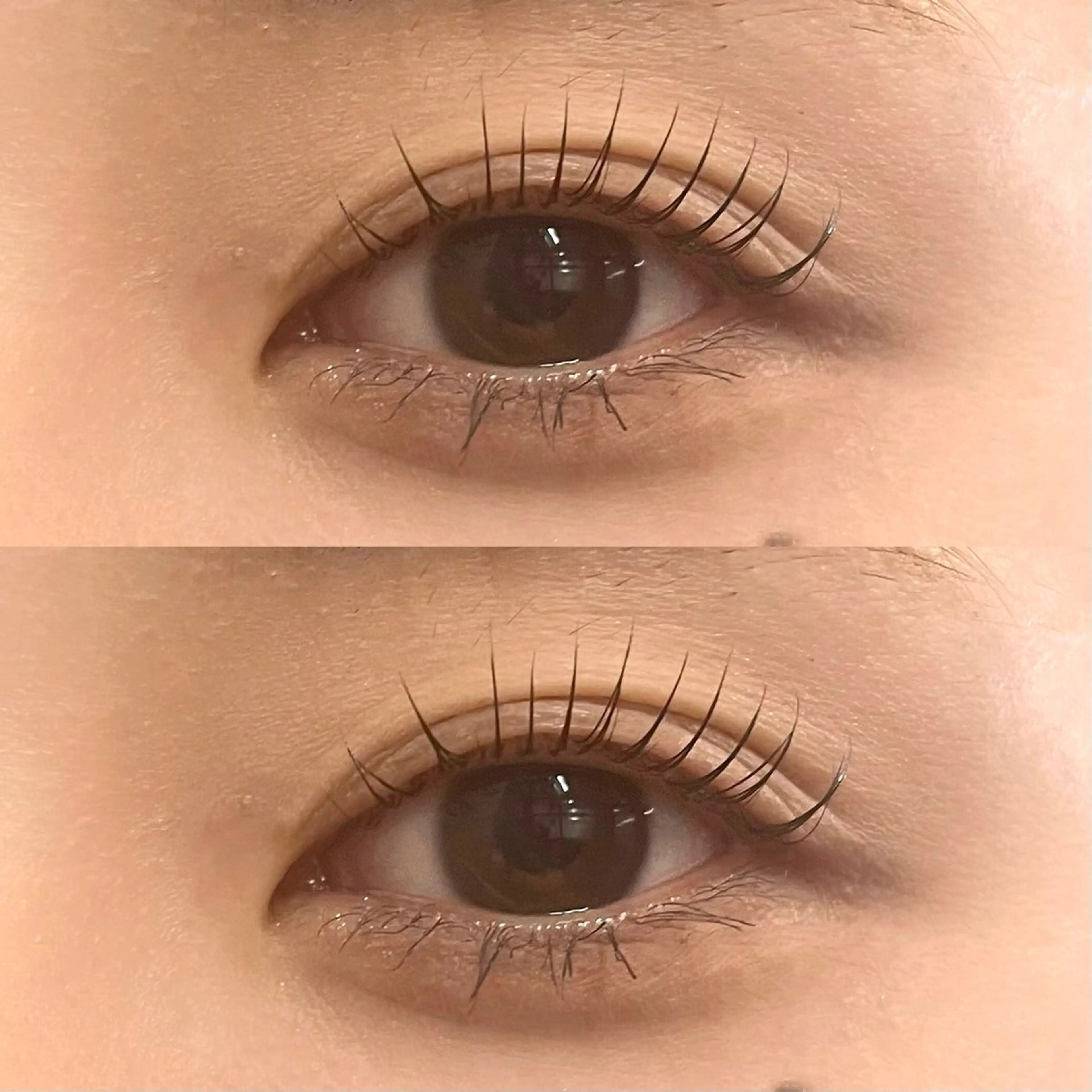 🫧ラッシュリフト(上まつ毛パーマ)ピーナッツロッドあり🫧コーティング付 ¥5660の写真