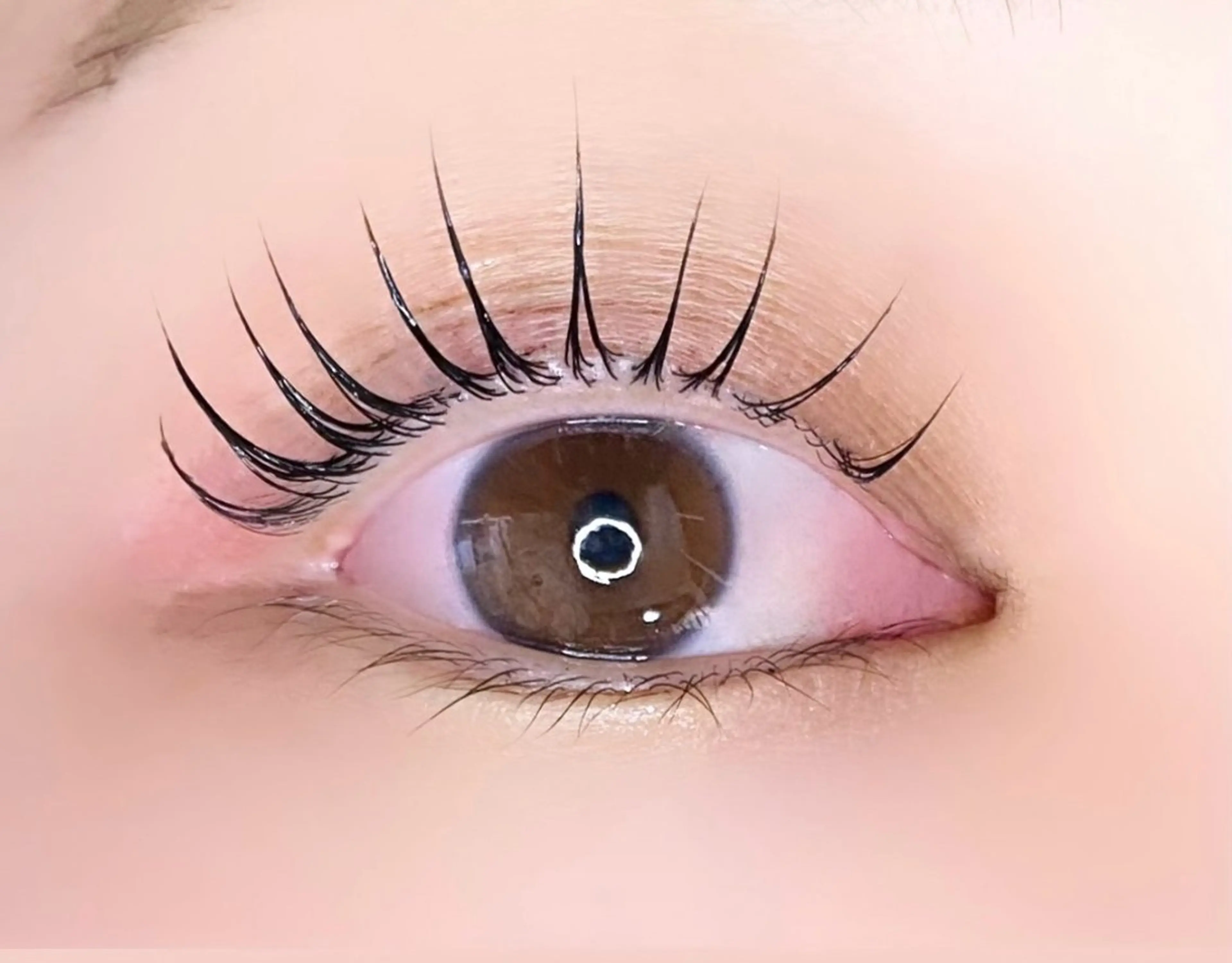 マツエク・マツパ 一重×まつ毛パーマ REBYNA 【リバイン】のマツエク・マツパデザイン