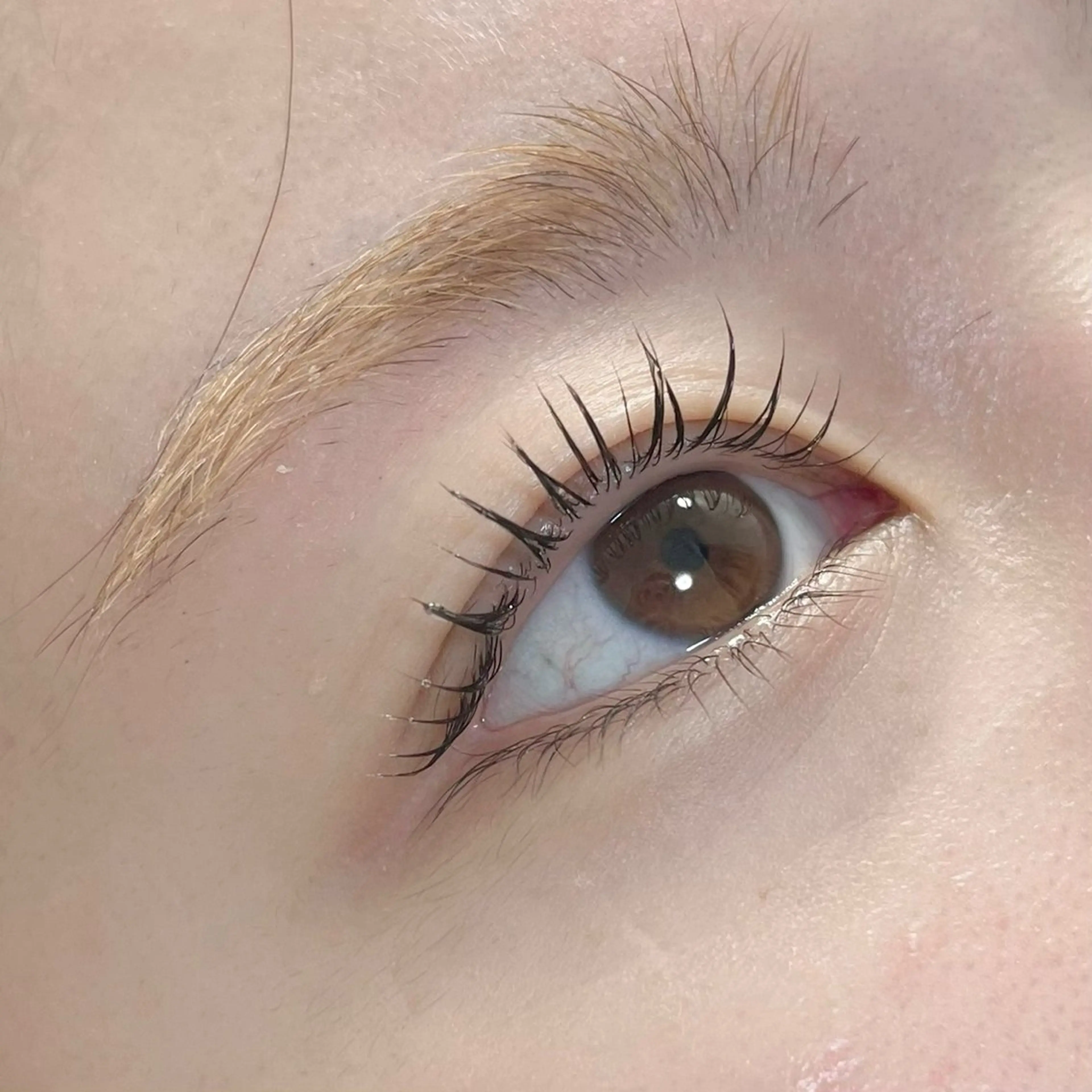 マツエク・マツパ パリジェンヌラッシュリフト マリーテレジア NISHINO.hのマツエク・マツパデザイン