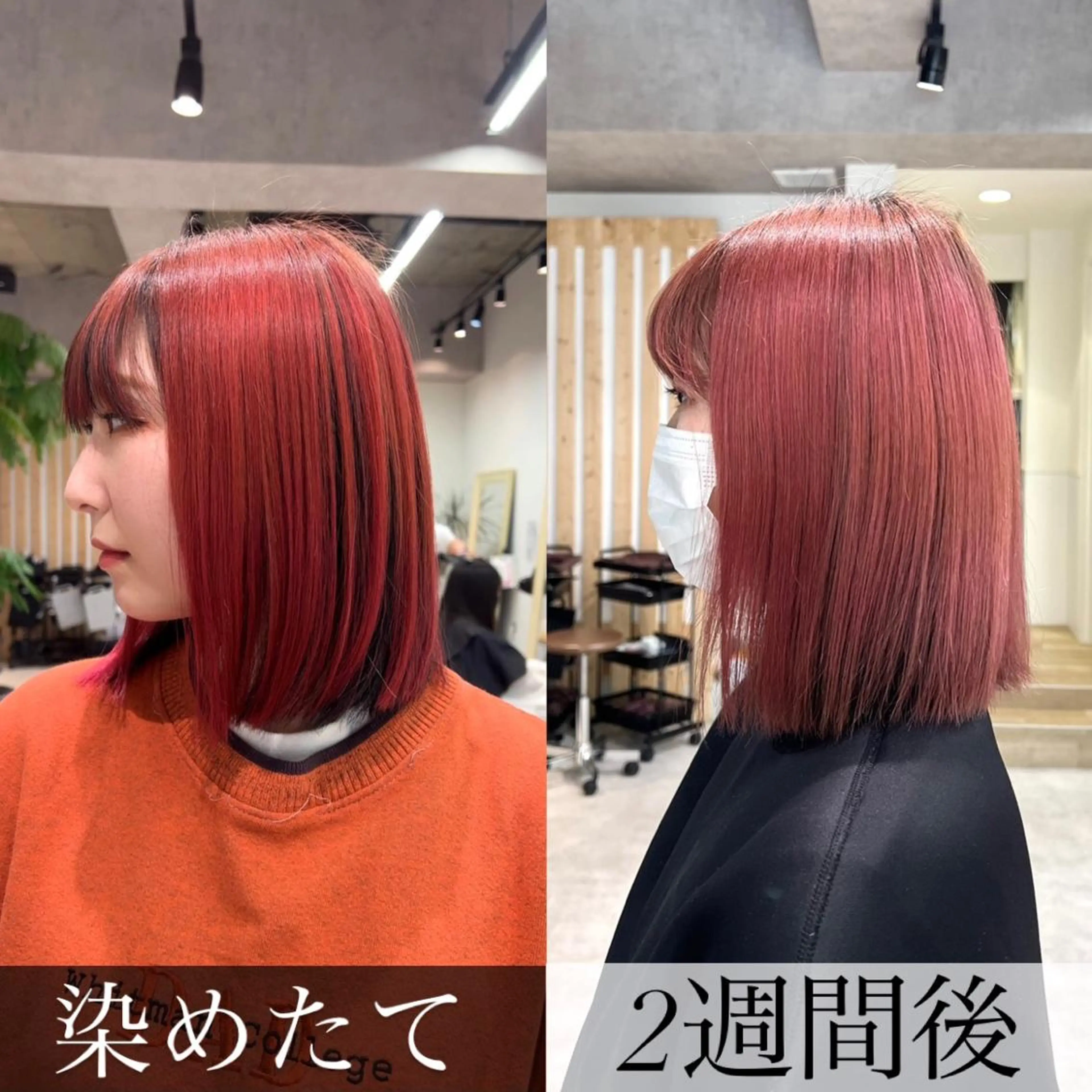 ショート カラー カット ヘアカラー トリートメント 🍀お悩み改善憧れの 美髪 小林風雅のヘアスタイル