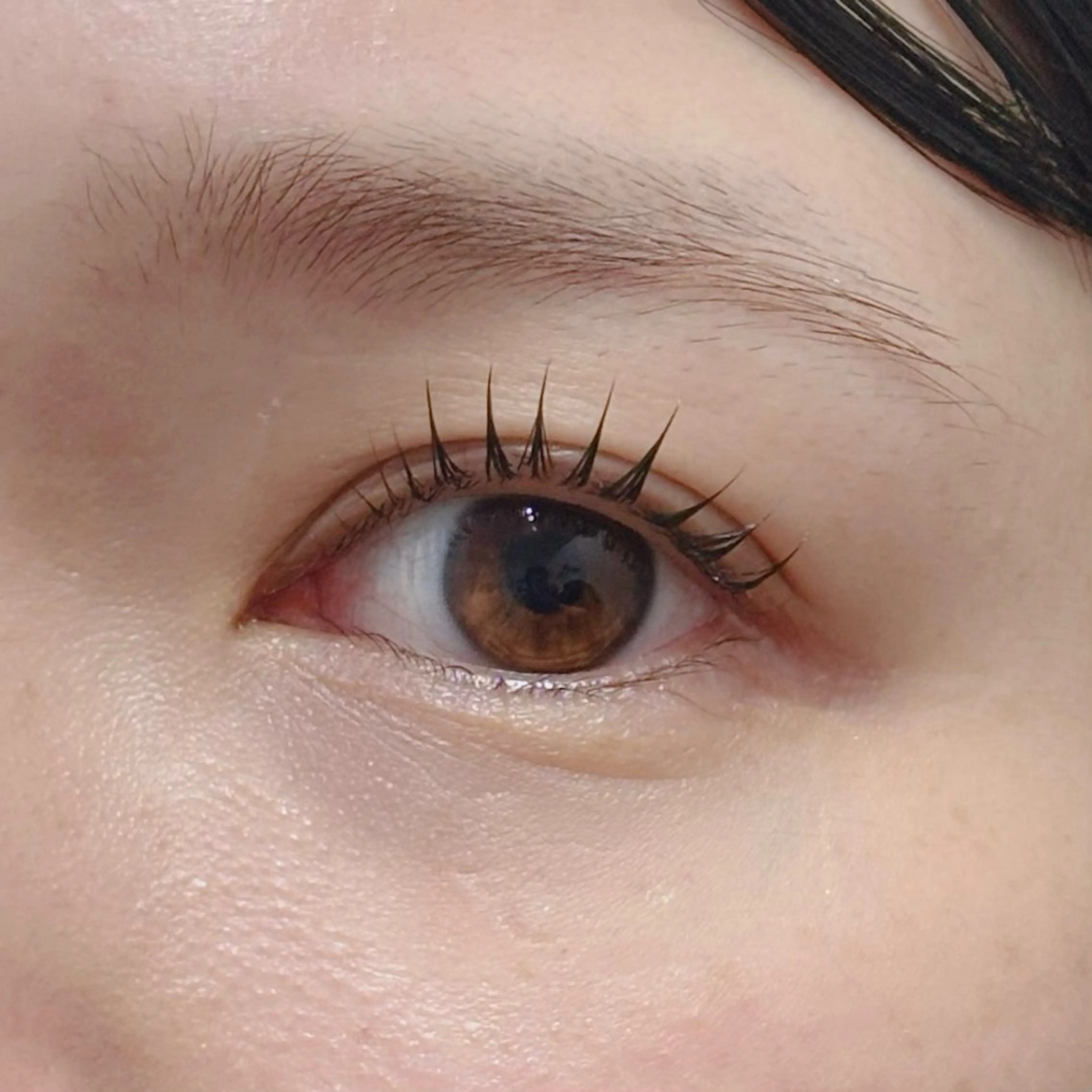 選べるまつげパーマ🫧コーティング付き✨の写真