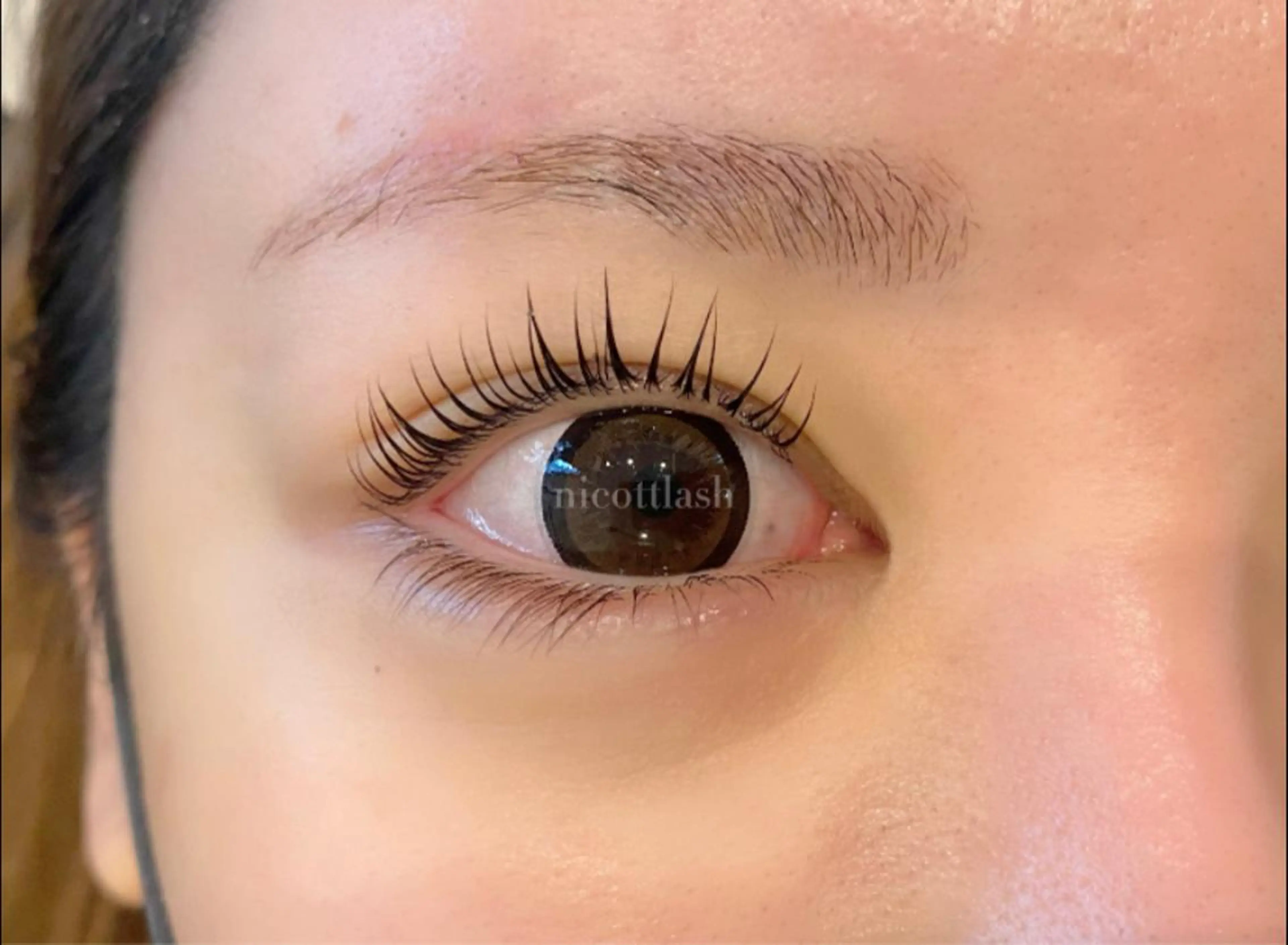 マツエク・マツパ パリジェンヌラッシュリフト デイジーラッシュ 天王寺　南のマツエク・マツパデザイン