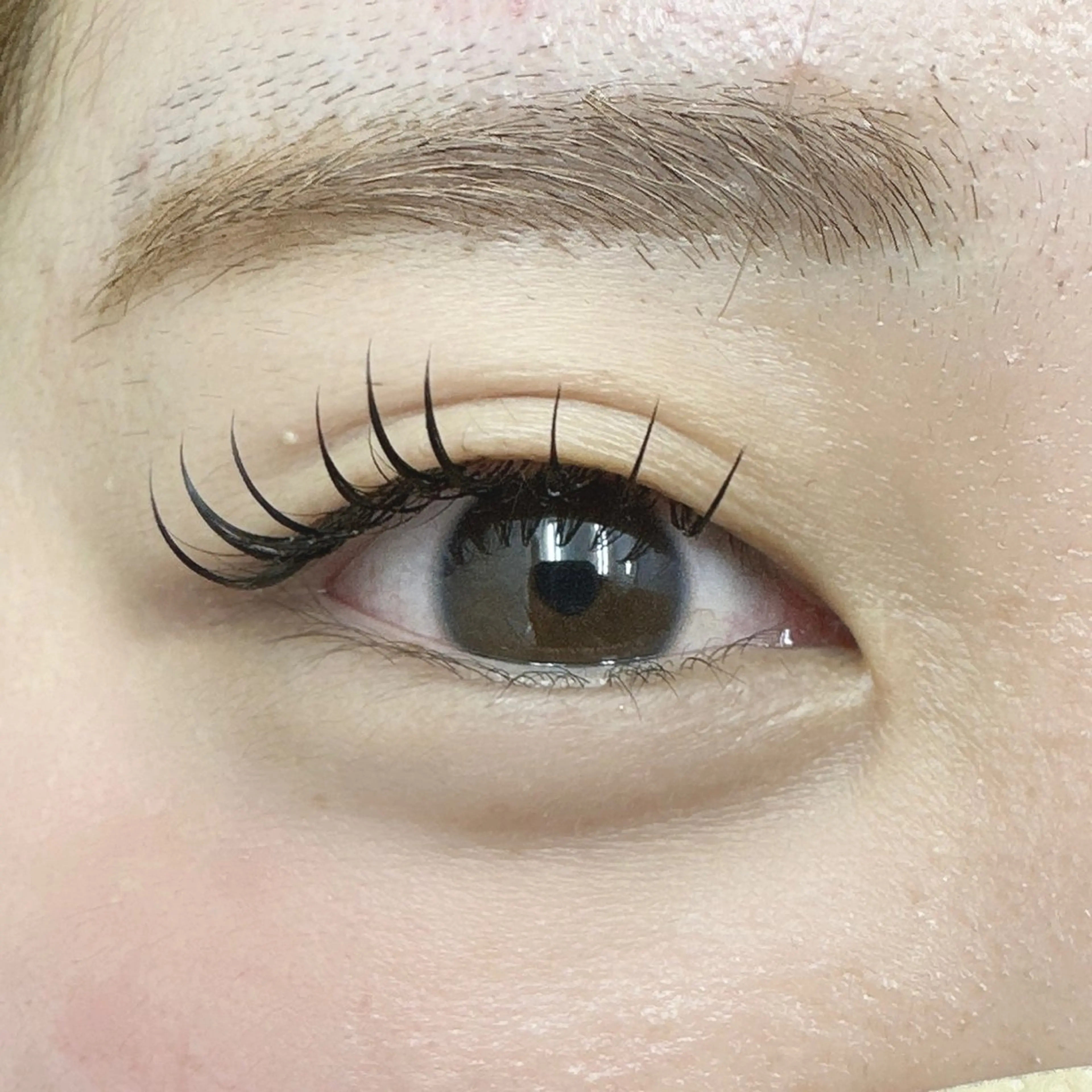 マツエク・マツパ フラットラッシュ マツエク Miyu🦄ash メンズカット/まつげのヘアスタイル