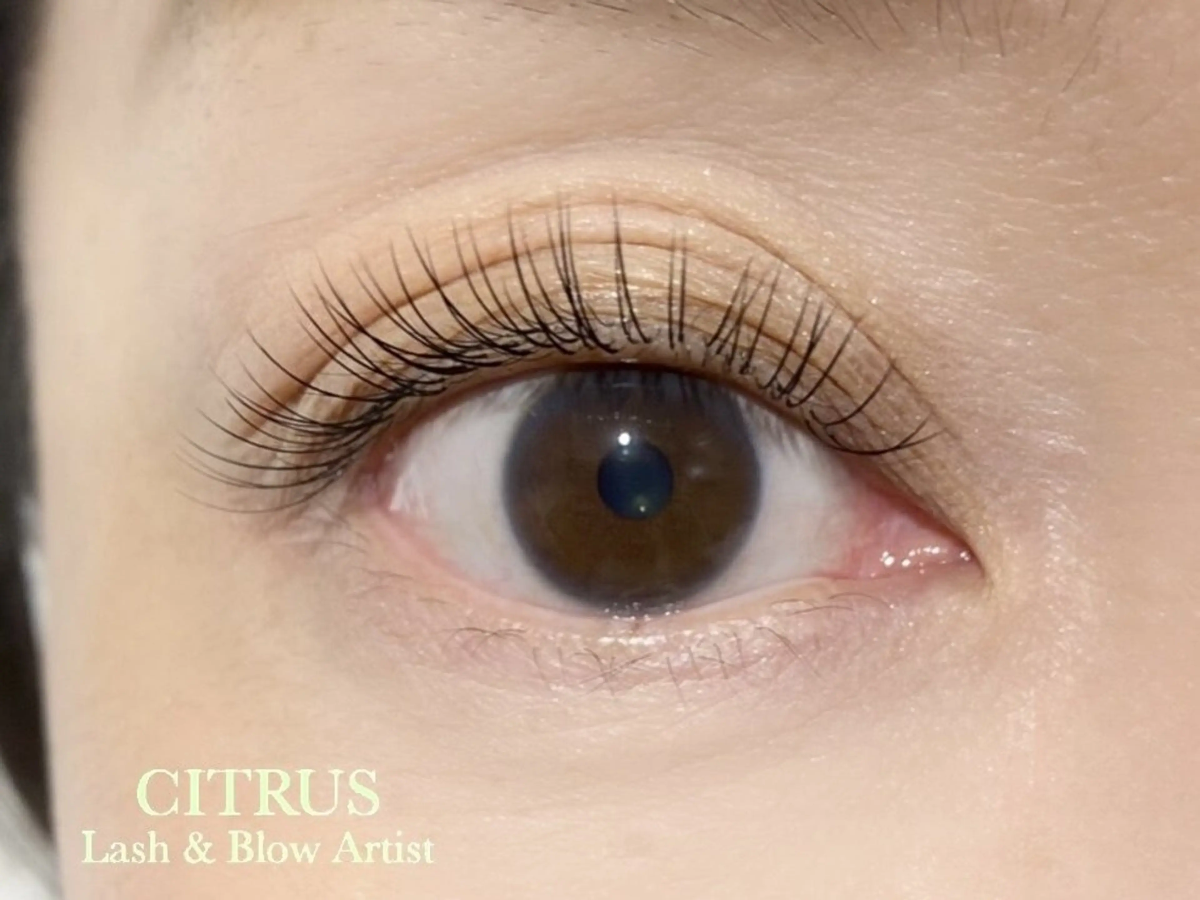 マツエク・マツパ フラットラッシュ peep名古屋八田店 TSURUのマツエク・マツパデザイン