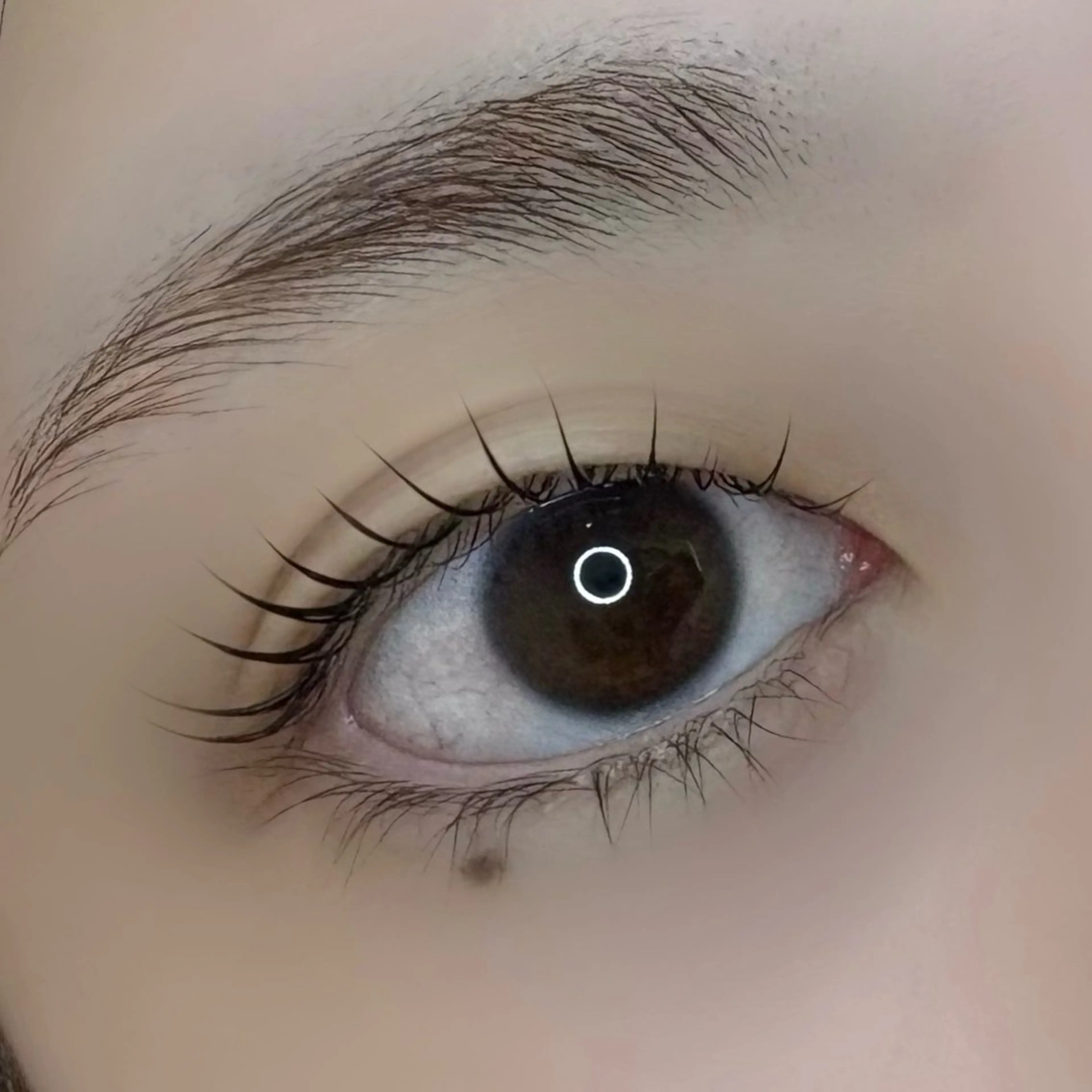 マツエク・マツパ HAIRCOCORO所属・HAIR COCOROのマツエク・マツパデザイン