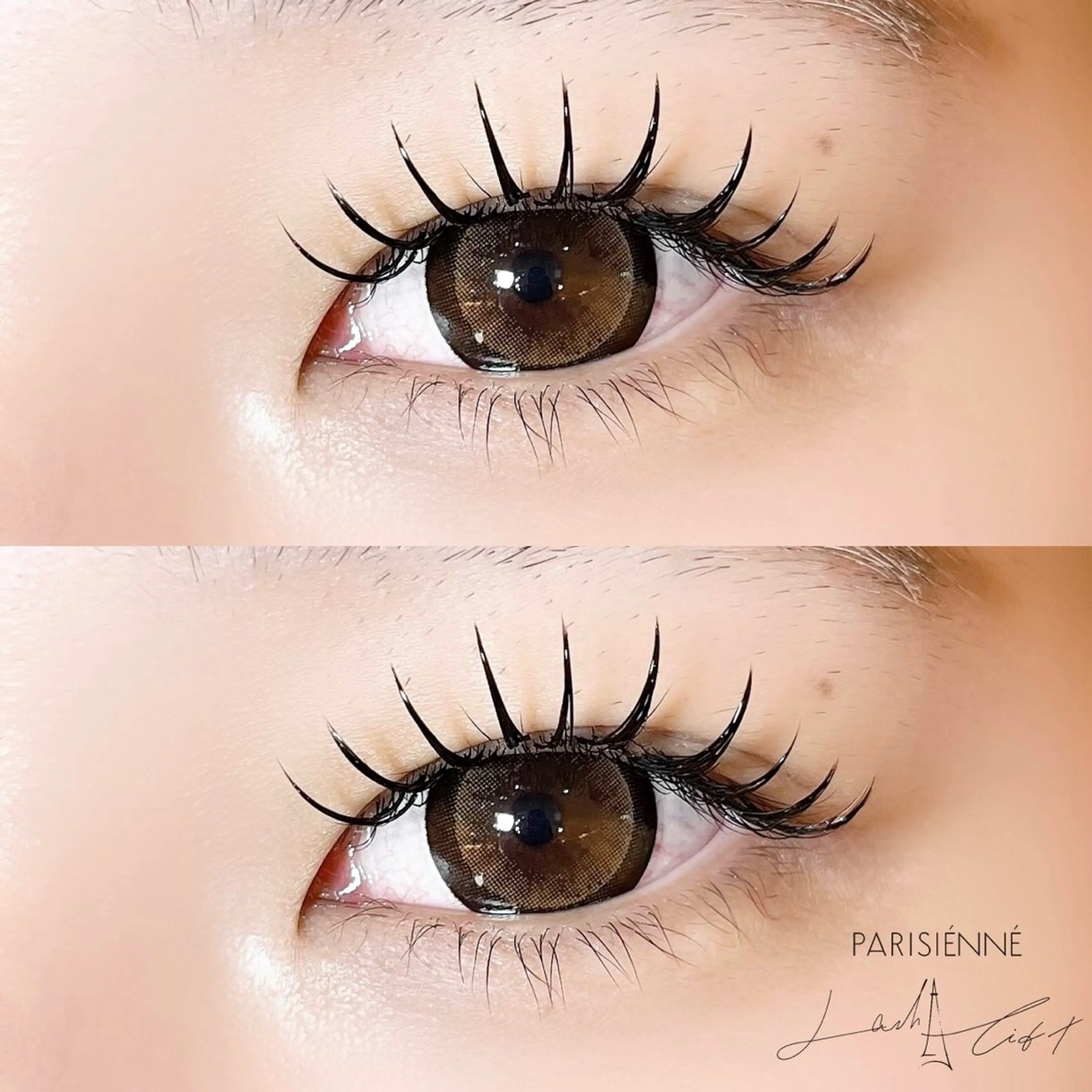 マツエク・マツパ 束感まつ毛 Cカール 韓国風マツエク sola: neolive熊田のマツエク・マツパデザイン