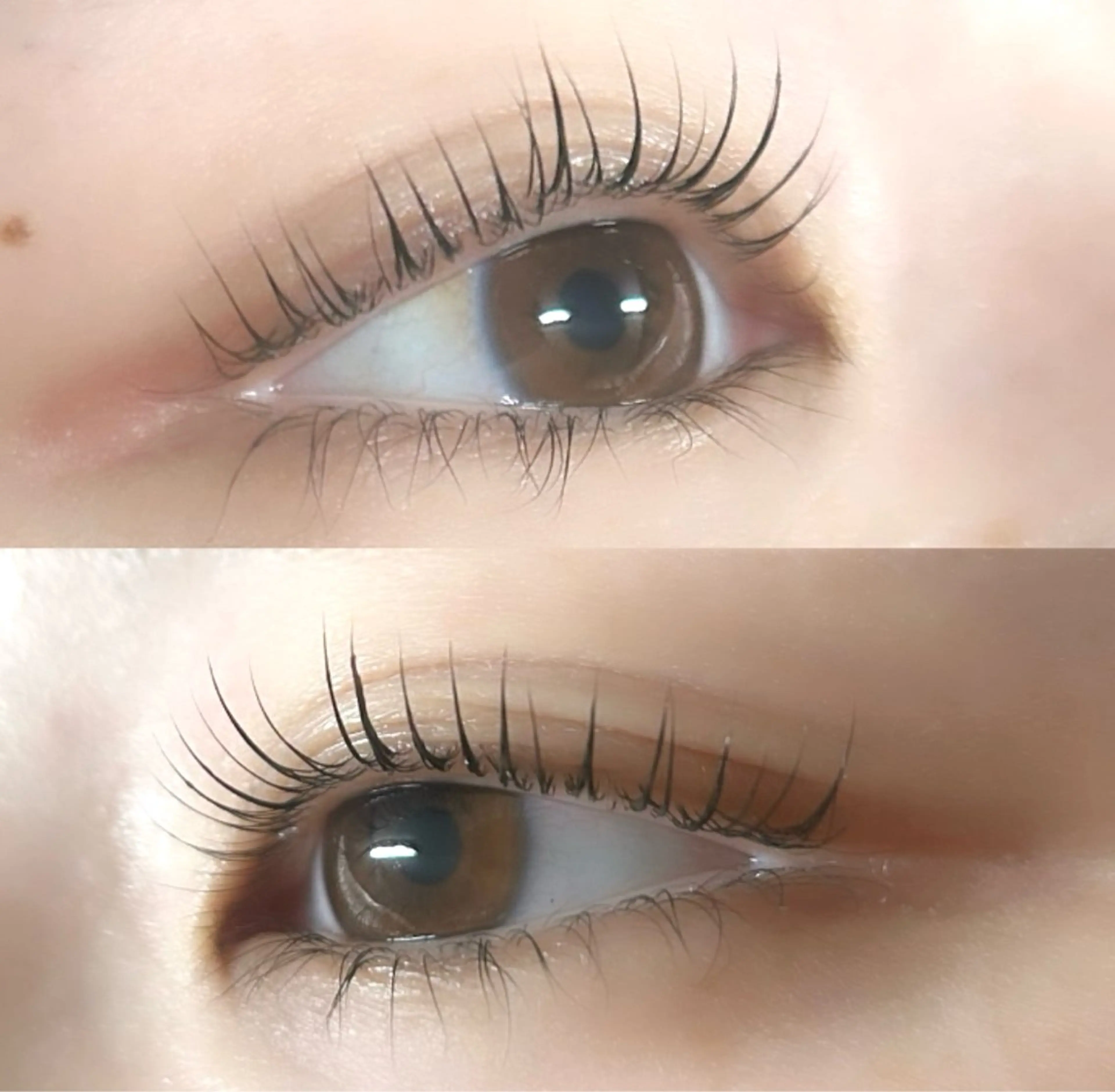 マツエク・マツパ あおい 🐼のマツエク・マツパデザイン