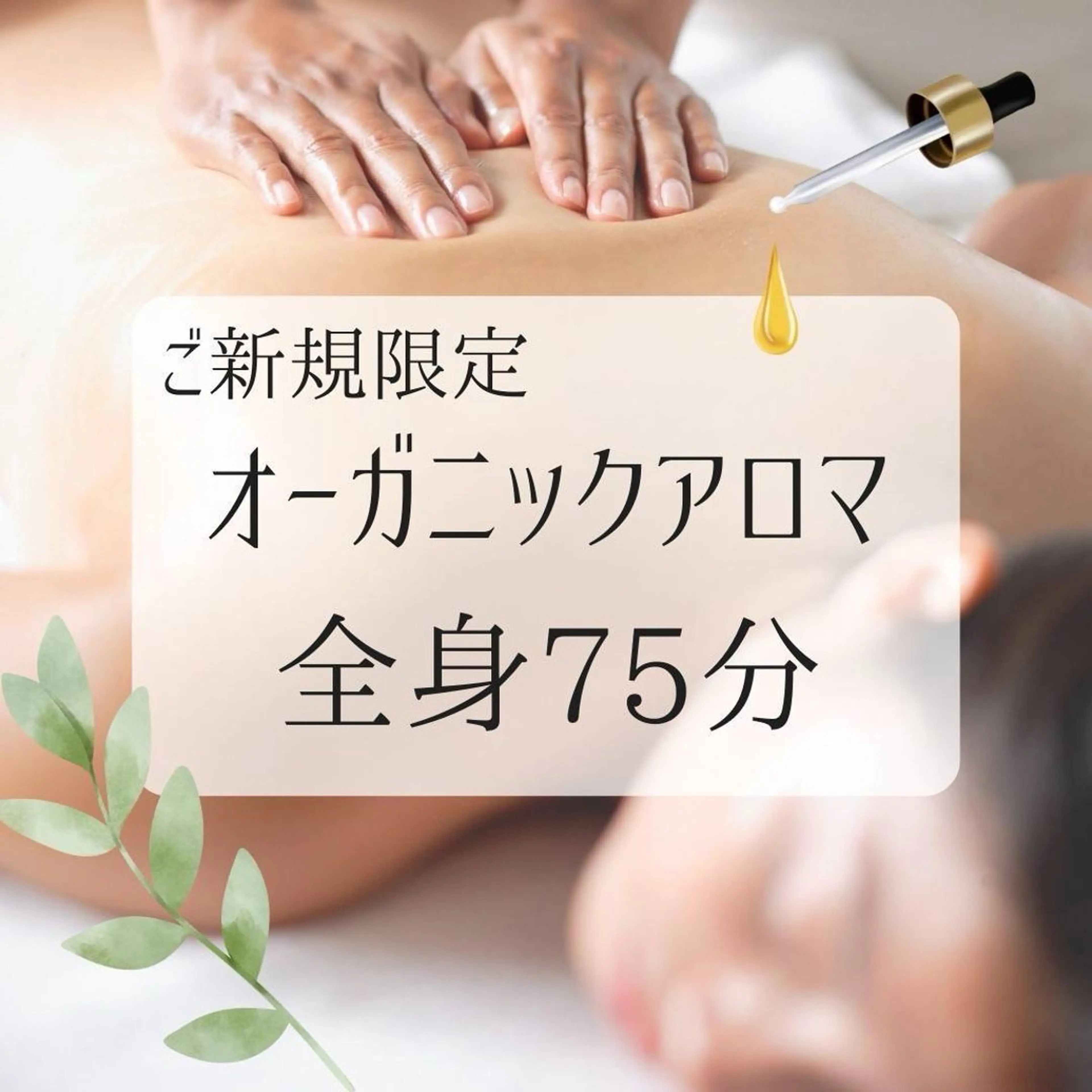 【新規限定】人気No. 1オーガニックアロマトリートメント75分　￥8900の写真