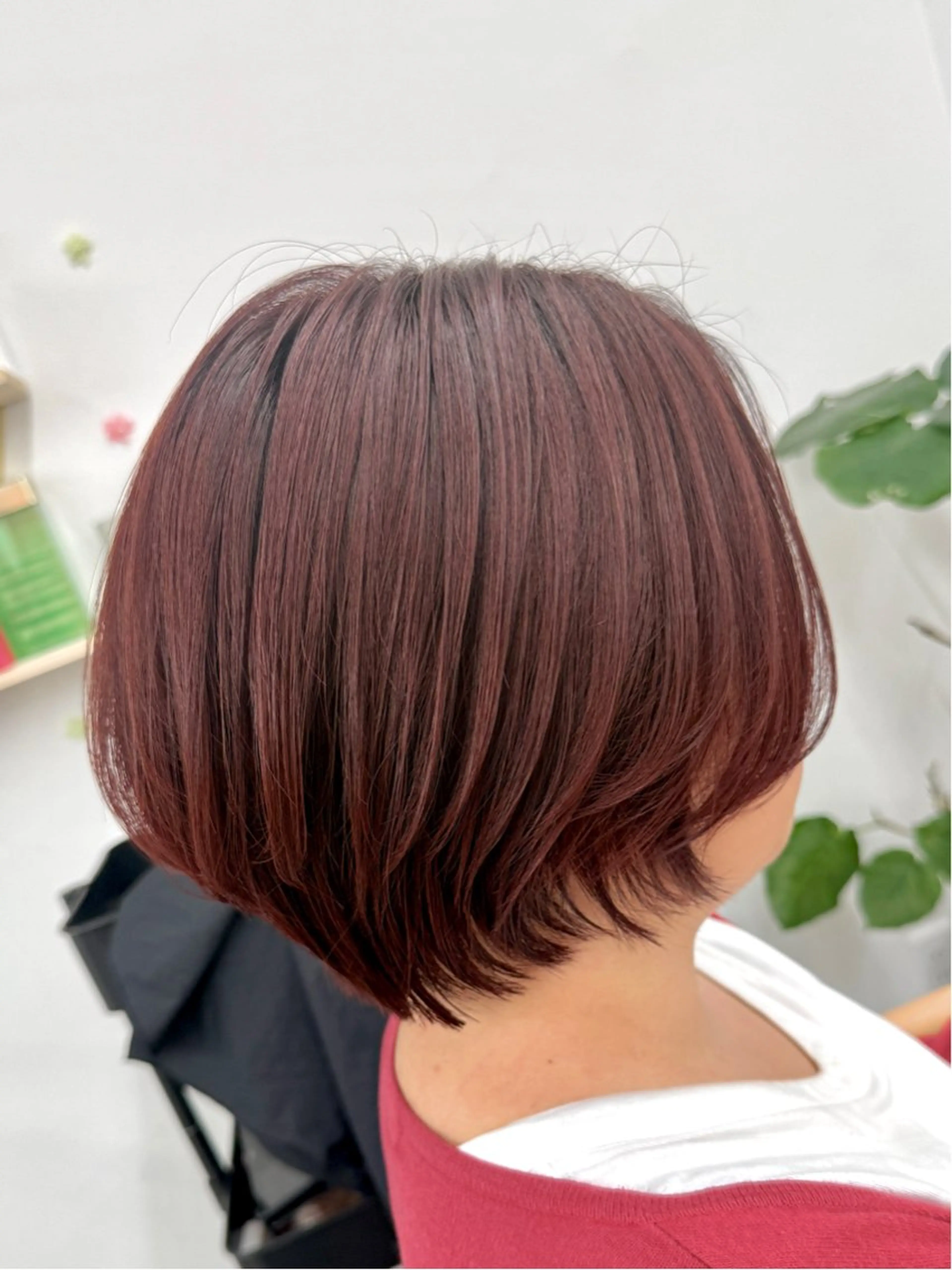 ショート ショートボブ ボブ ショートヘア カット ヘアカラー トリートメント ANNA🐾 艶カラー/水素カラーのヘアスタイル